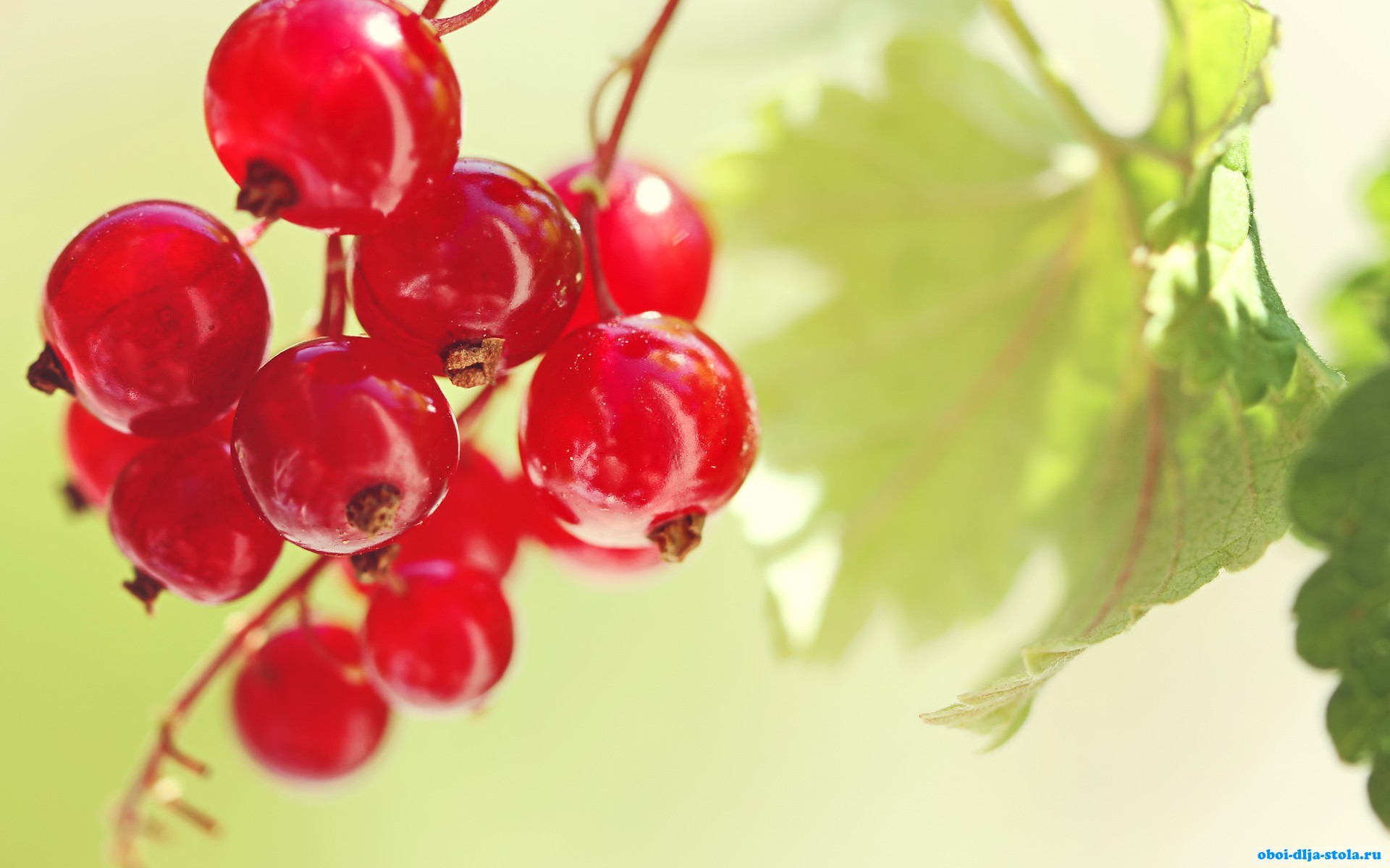 Laden Sie das Obst, Lebensmittel, Berries-Bild kostenlos auf Ihren PC-Desktop herunter