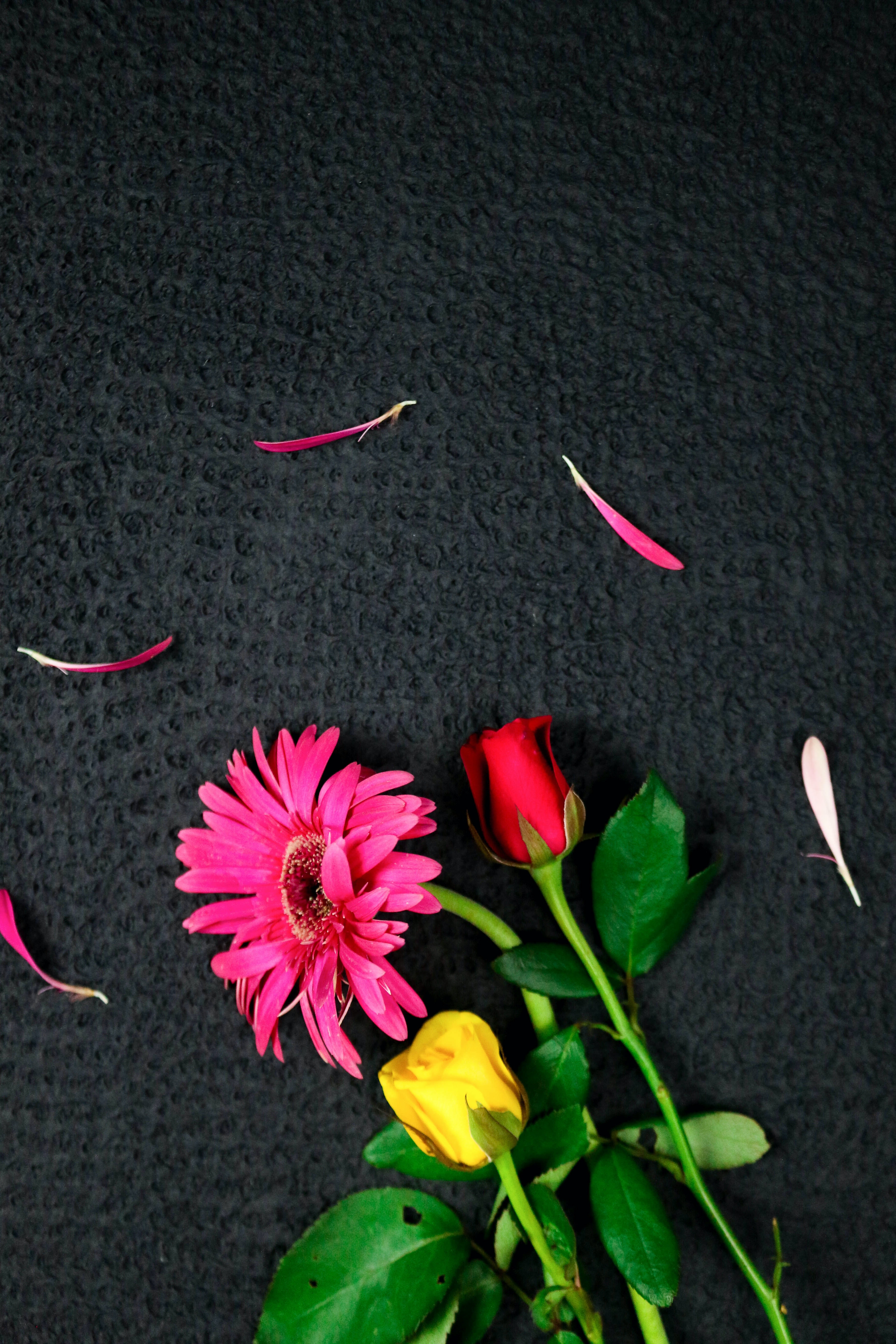Download mobile wallpaper Flowers, Bouquet, Petals, Pink for free.
