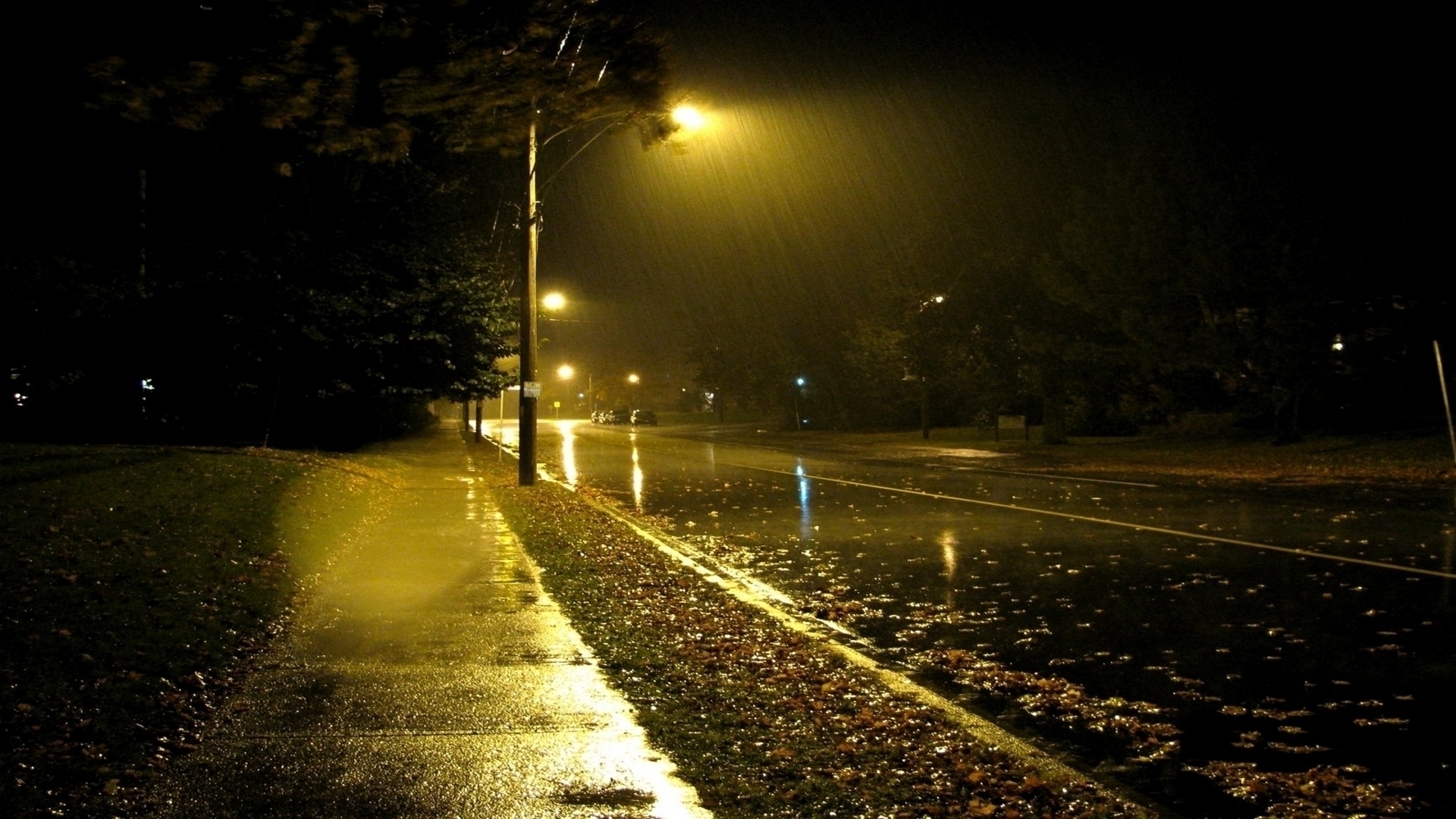 Laden Sie das Regen, Licht, Straße, Fotografie, Nacht-Bild kostenlos auf Ihren PC-Desktop herunter