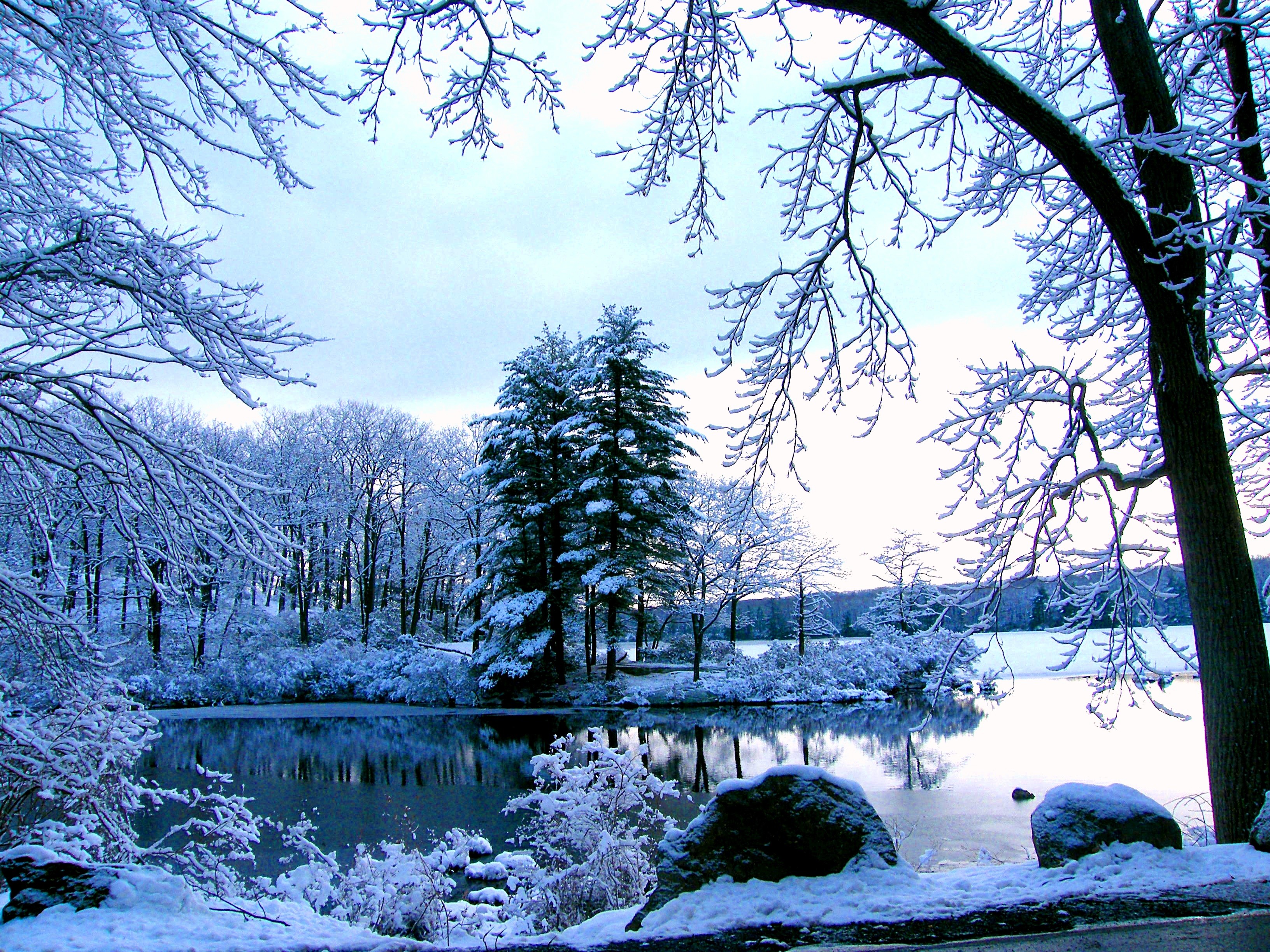 Download mobile wallpaper Winter, Snow, Lake, Park, Tree, Earth for free.