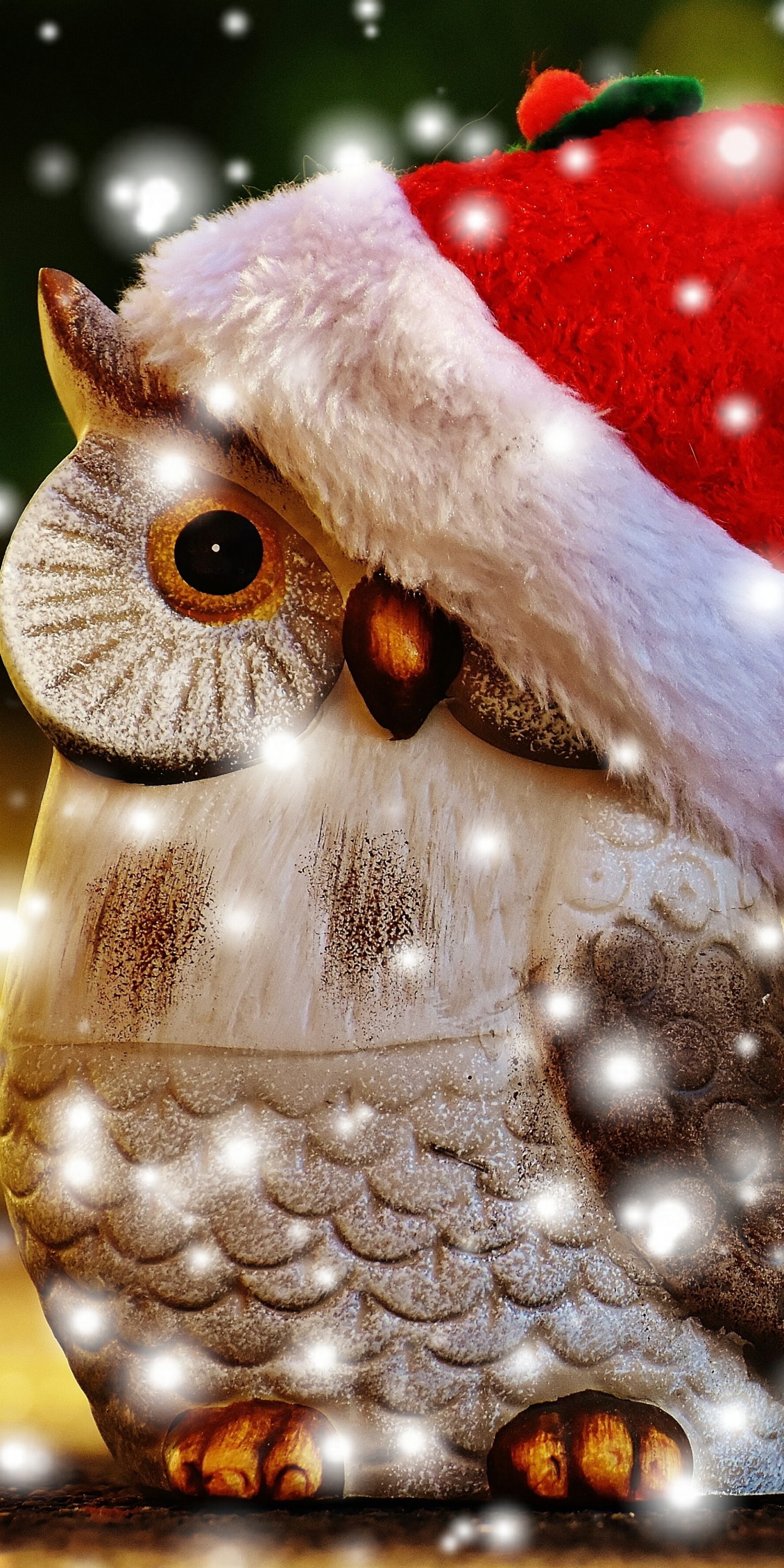 Téléchargez des papiers peints mobile Chouette, Noël, Hibou, Vacances, Chapeau De Père Noël gratuitement.