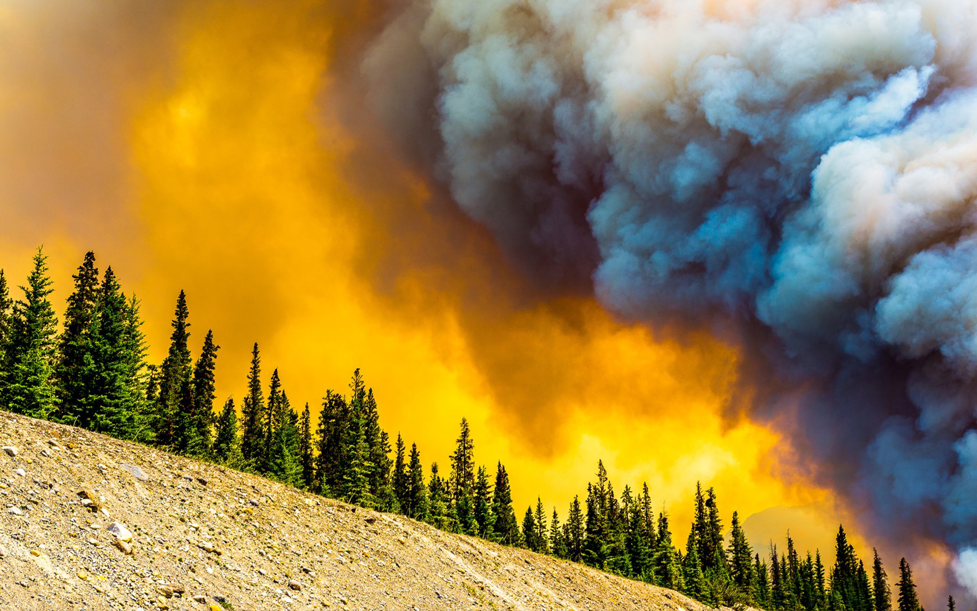 Téléchargez gratuitement l'image Feu, Photographie sur le bureau de votre PC