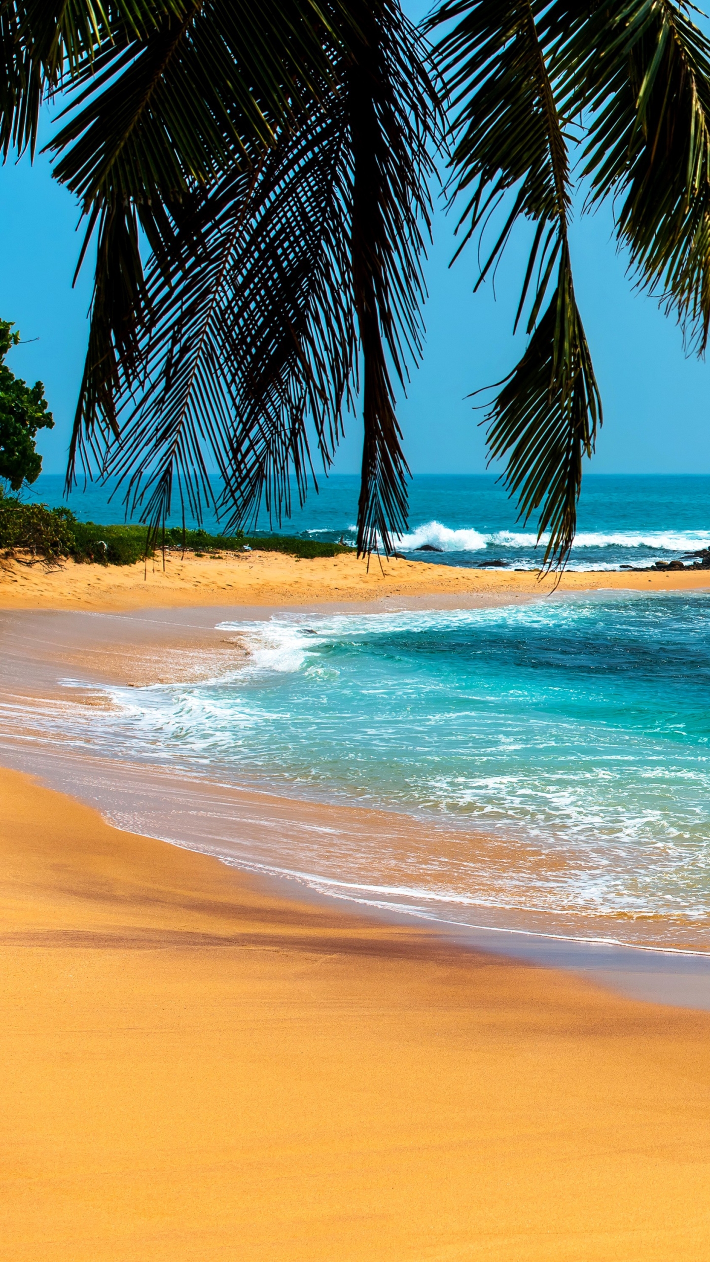 Download mobile wallpaper Beach, Earth, Tropical for free.