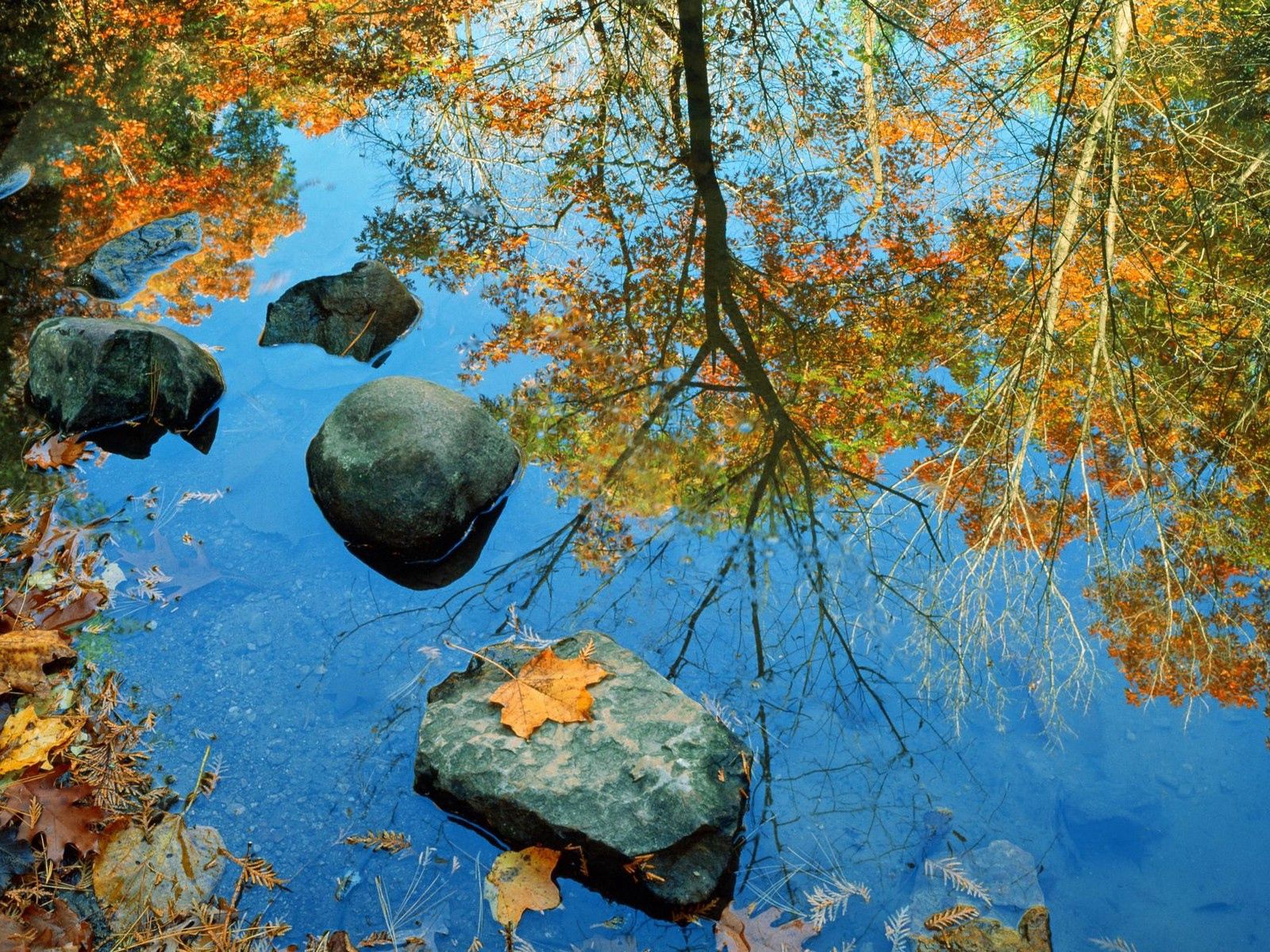 Download mobile wallpaper Rock, Reflection, Leaves, Stone, Nature, Mirror, Color, Colors, Autumn for free.