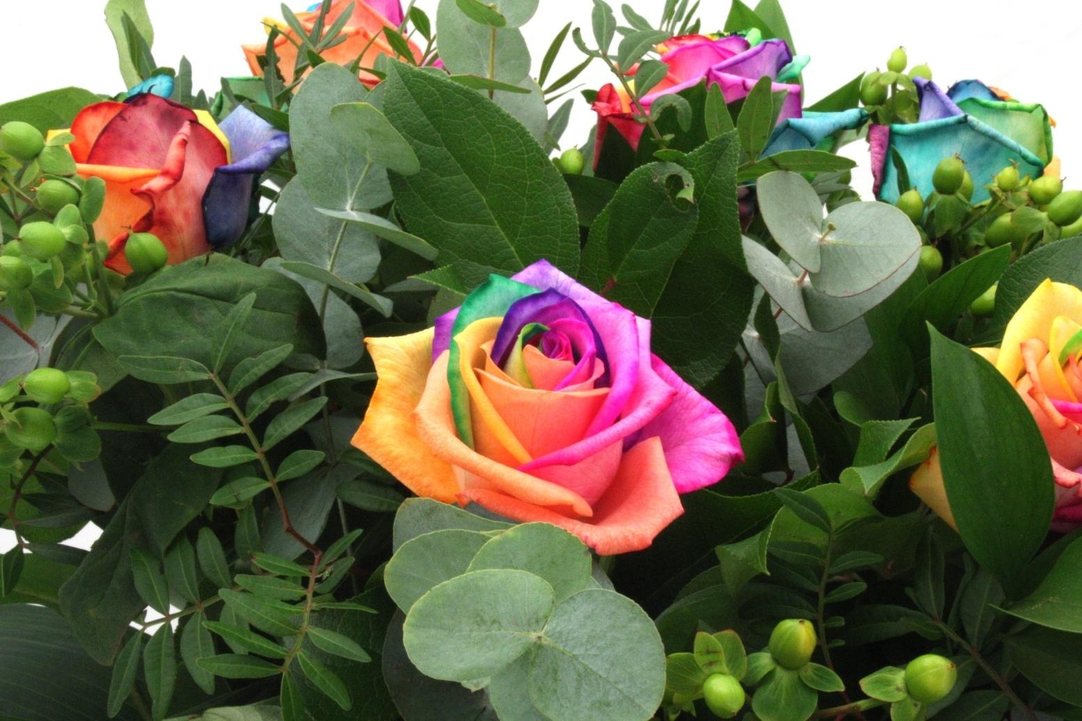 130535 descargar imagen flores, roses, verduras, multicolor, ramo: fondos de pantalla y protectores de pantalla gratis