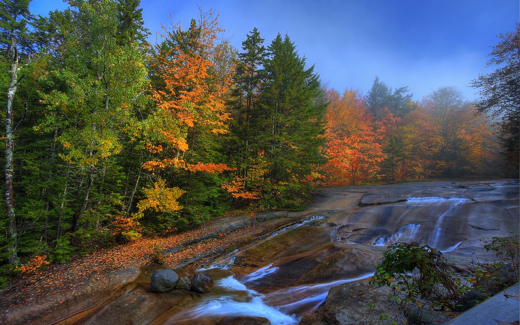 Free download wallpaper Forest, Tree, Fall, Earth, Stream on your PC desktop