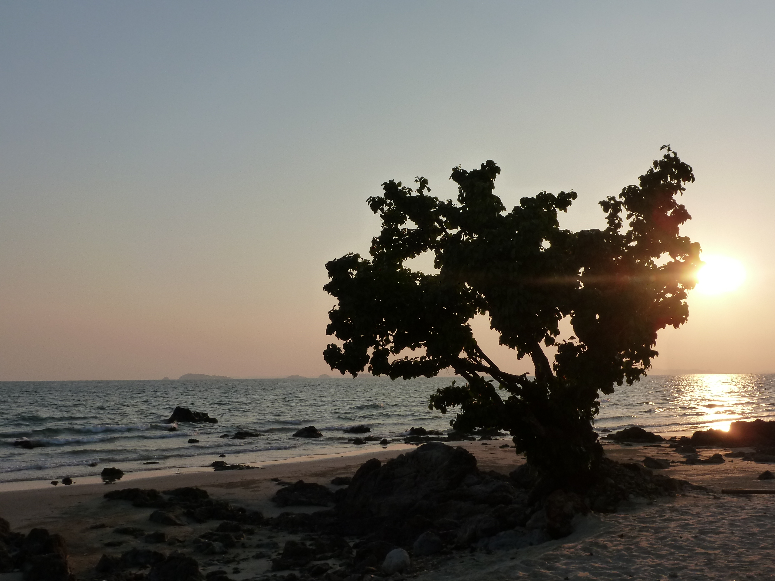 Baixar papel de parede para celular de Praia, Terra/natureza gratuito.