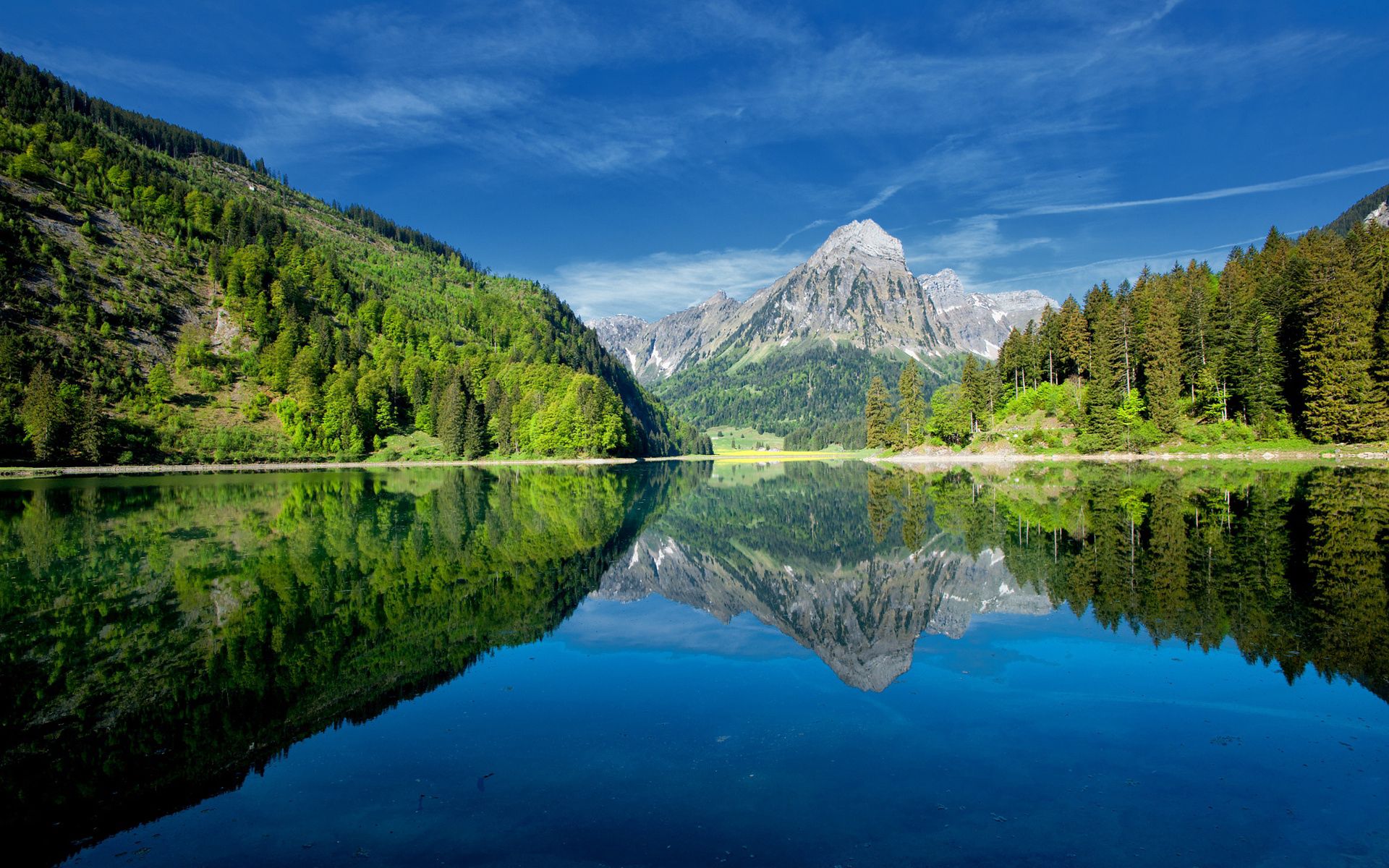 freshness, green, nature, mountains, clear, scaffolding, trees, sky, summer, blue, lake, reflection, i see, mirror, purity, woods