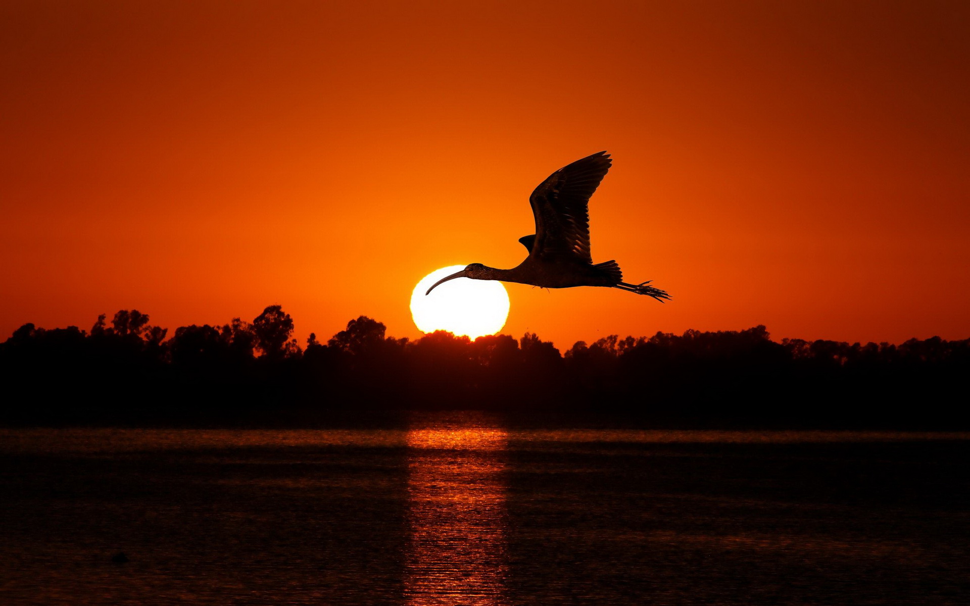 Téléchargez gratuitement l'image Coucher De Soleil, Terre/nature sur le bureau de votre PC