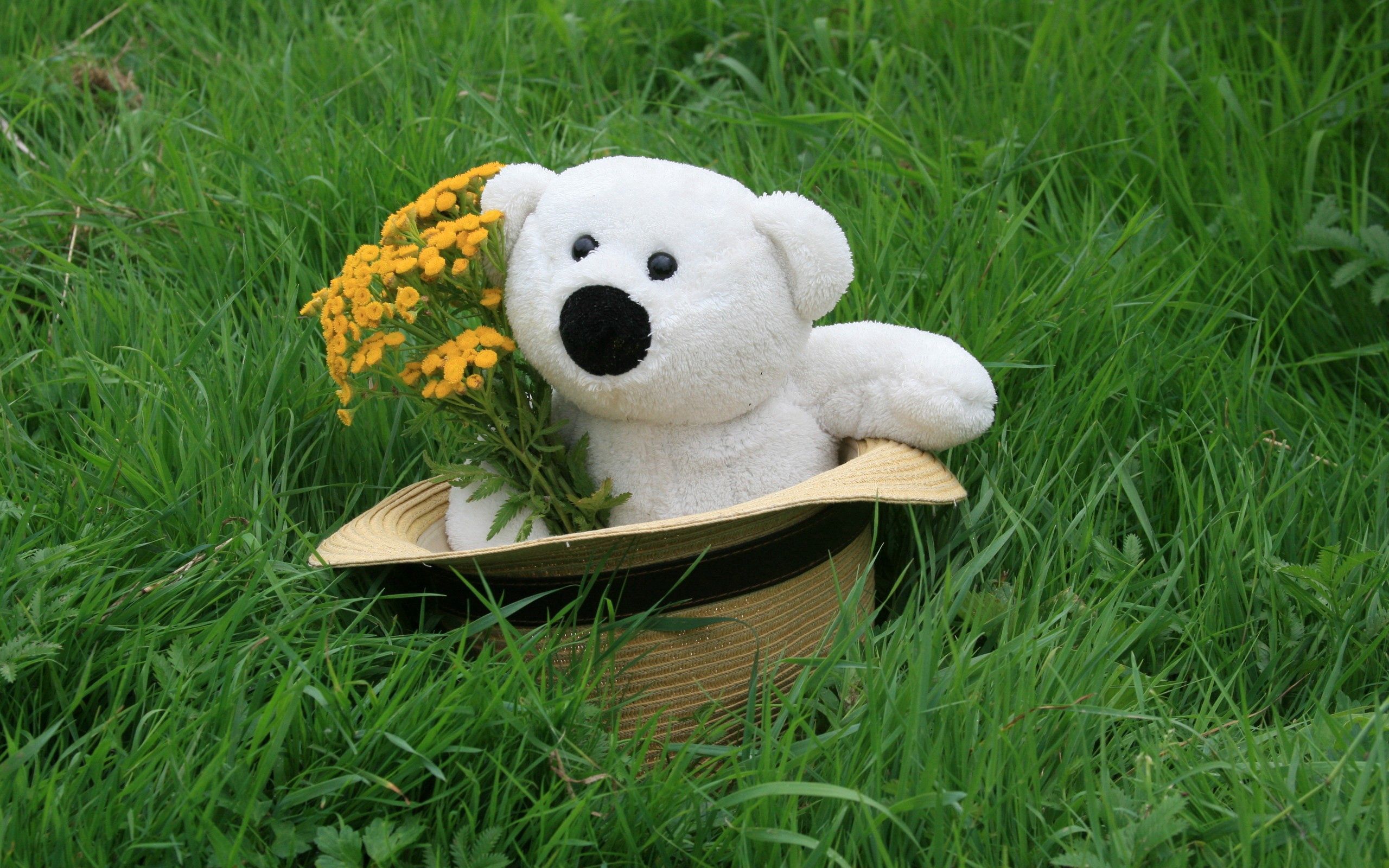 108299 скачать обои цветы, плюшевый медведь, разное, трава, подарок, шляпа - заставки и картинки бесплатно