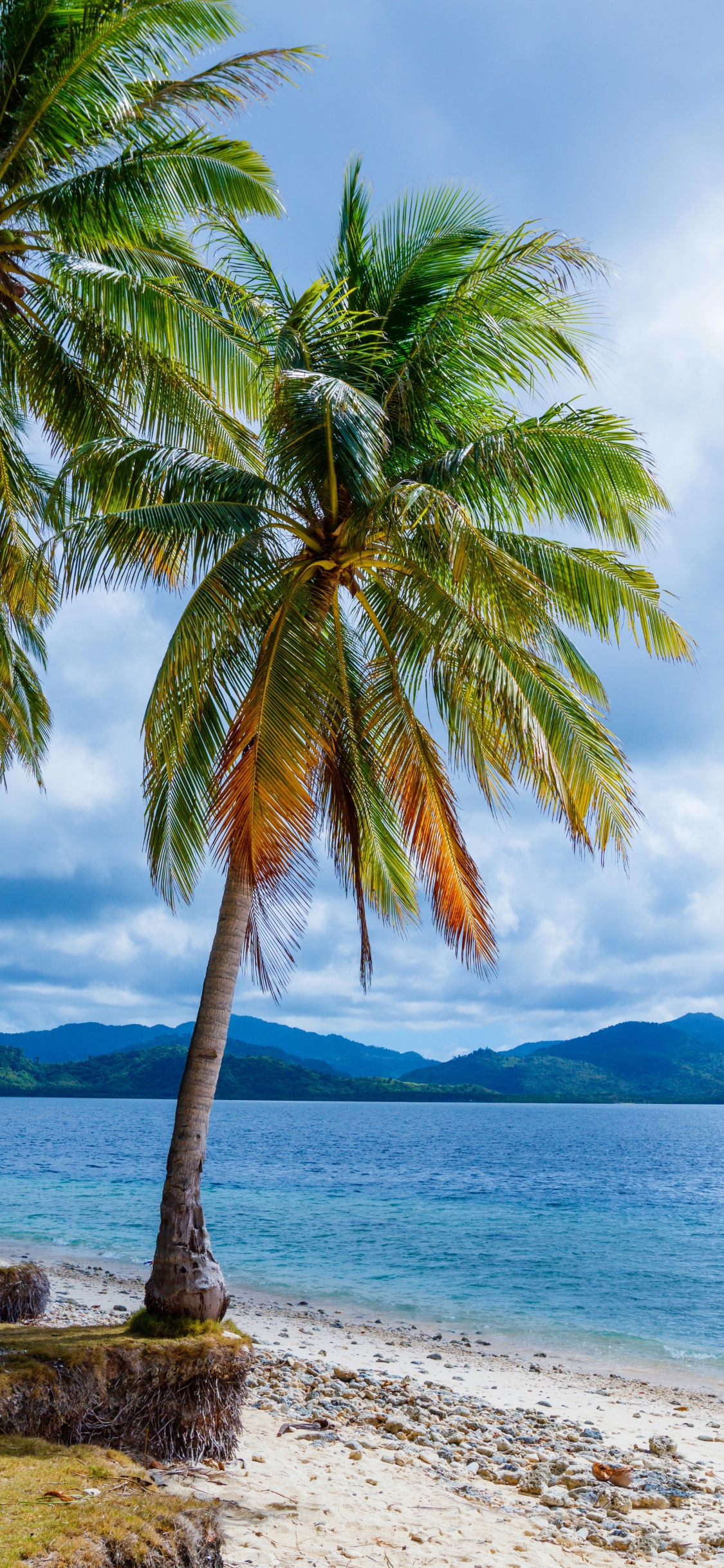 1294100 Hintergrundbild herunterladen palme, erde/natur, strand, natur, philippinen, tropisch, sand, wolke - Bildschirmschoner und Bilder kostenlos