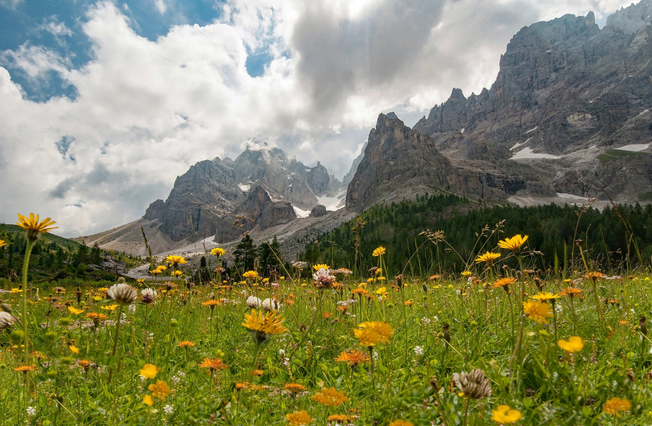 Laden Sie das Sommer, Blume, Alpen, Gebirge, Wiese, Dolomiten, Berge, Erde/natur-Bild kostenlos auf Ihren PC-Desktop herunter