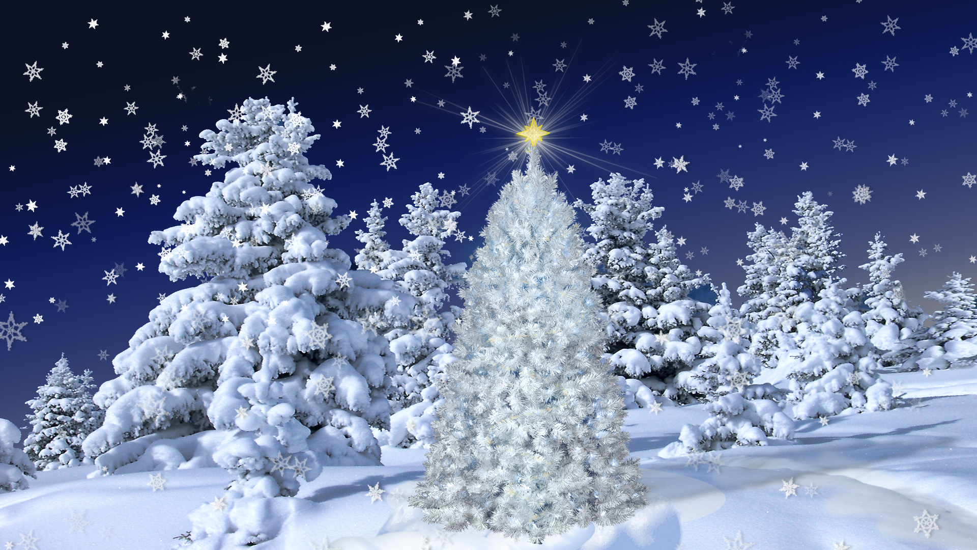 Скачати мобільні шпалери Сніг, Різдво, Ліс, Дерево, Свято, Сніжинка, Зірка, Снігопад безкоштовно.