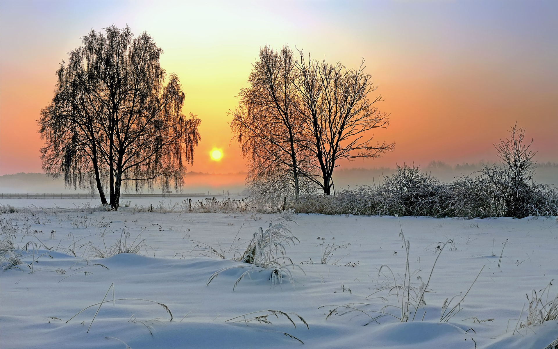 Скачать картинку Поле, Снег, Зима, Дерево, Земля/природа, Закат в телефон бесплатно.