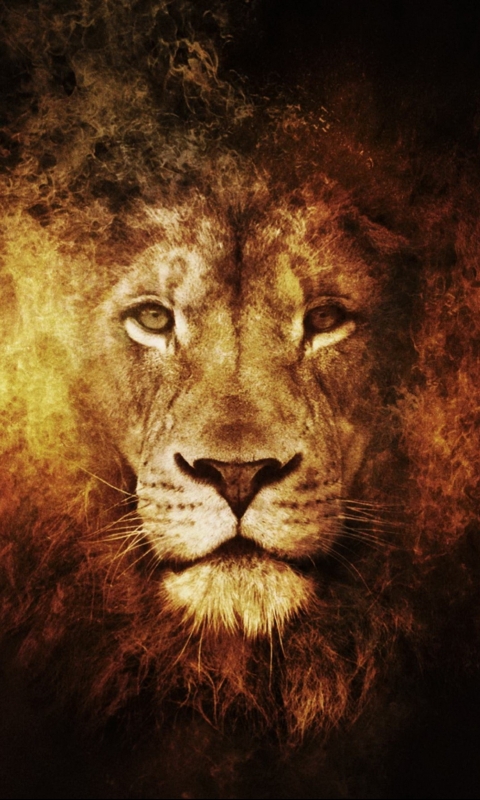 Download mobile wallpaper Cats, Lion, Animal for free.