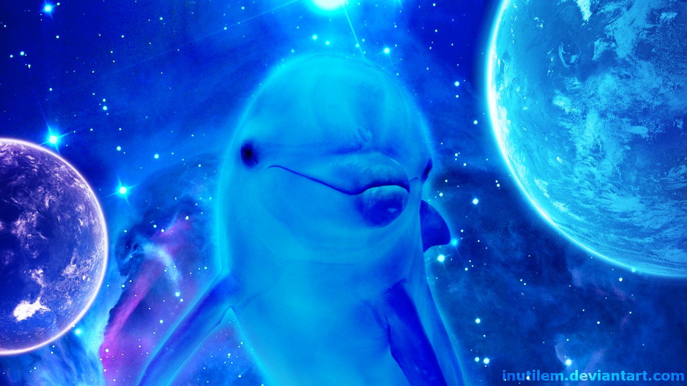 668116 descargar fondo de pantalla delfin, animales, delfín nariz de botella: protectores de pantalla e imágenes gratis