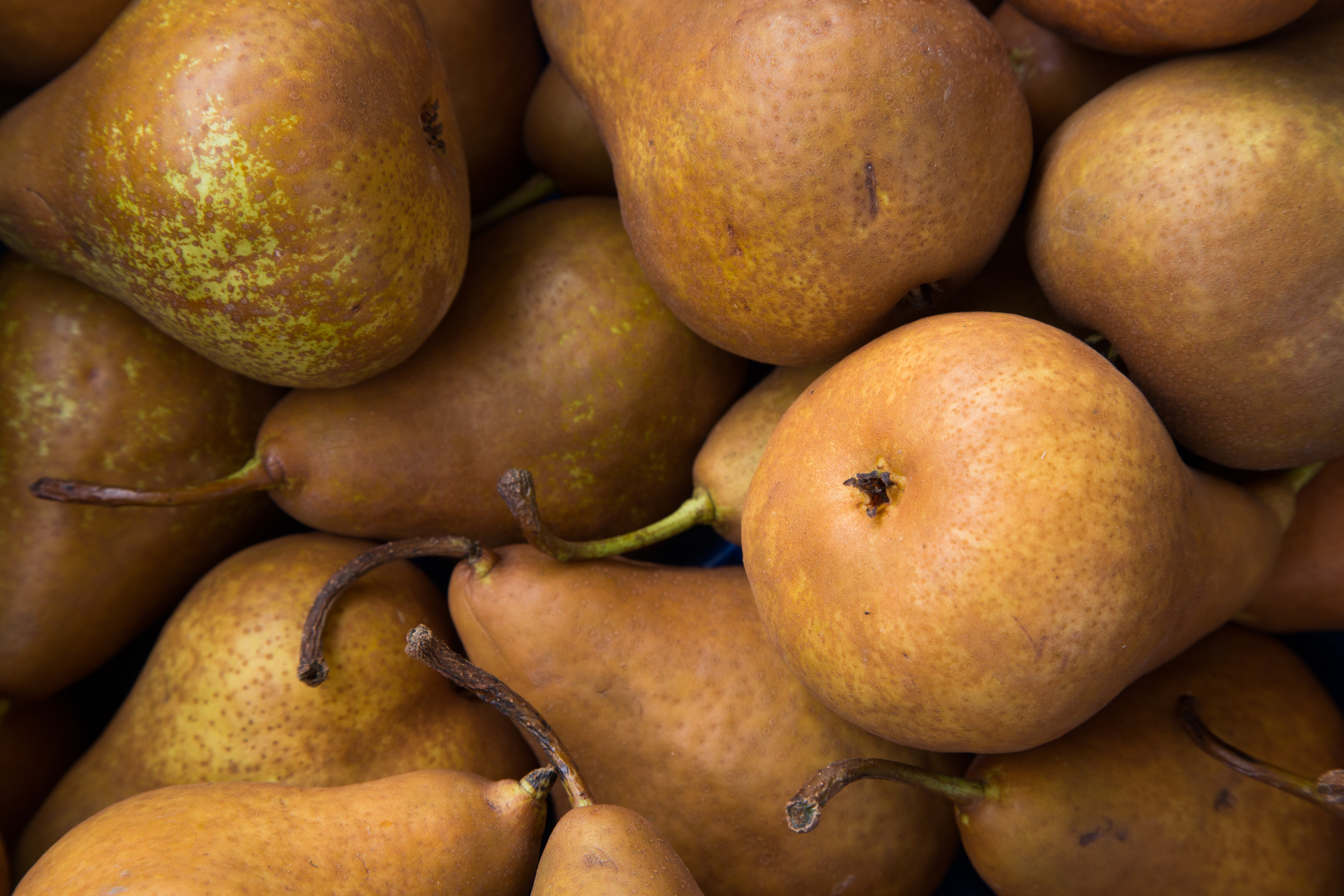 Free download wallpaper Pears, Ripe, Food, Fruits on your PC desktop