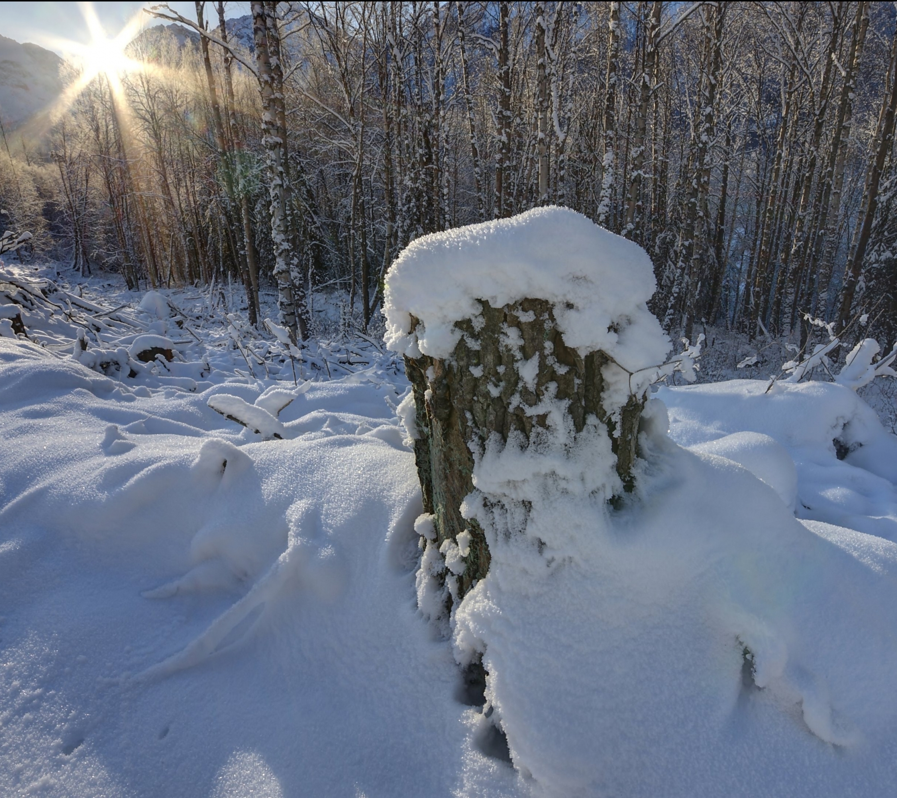 Descarga gratis la imagen Invierno, Tierra/naturaleza en el escritorio de tu PC