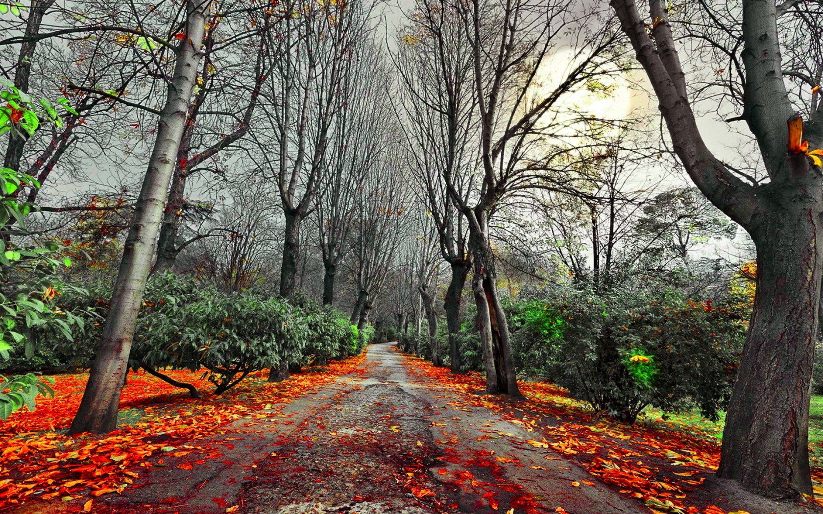 597031 скачать картинку осень, сделано человеком, дорога, туман, лес, грязь - обои и заставки бесплатно