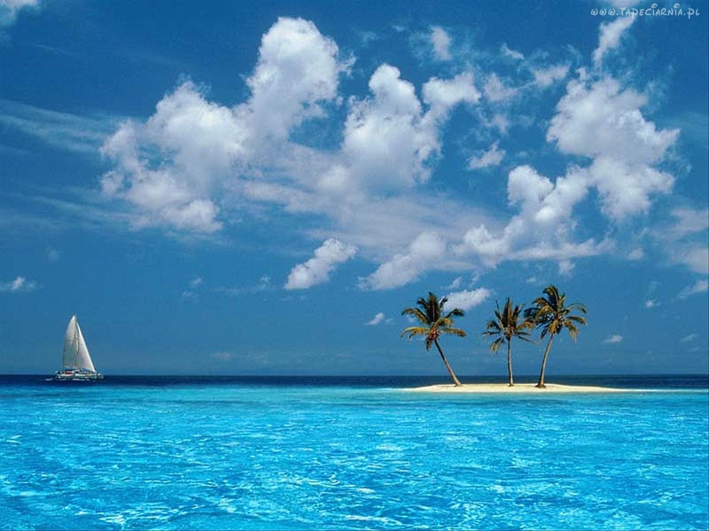 PCデスクトップに海, 雲, パームス, 風景, ビーチ画像を無料でダウンロード