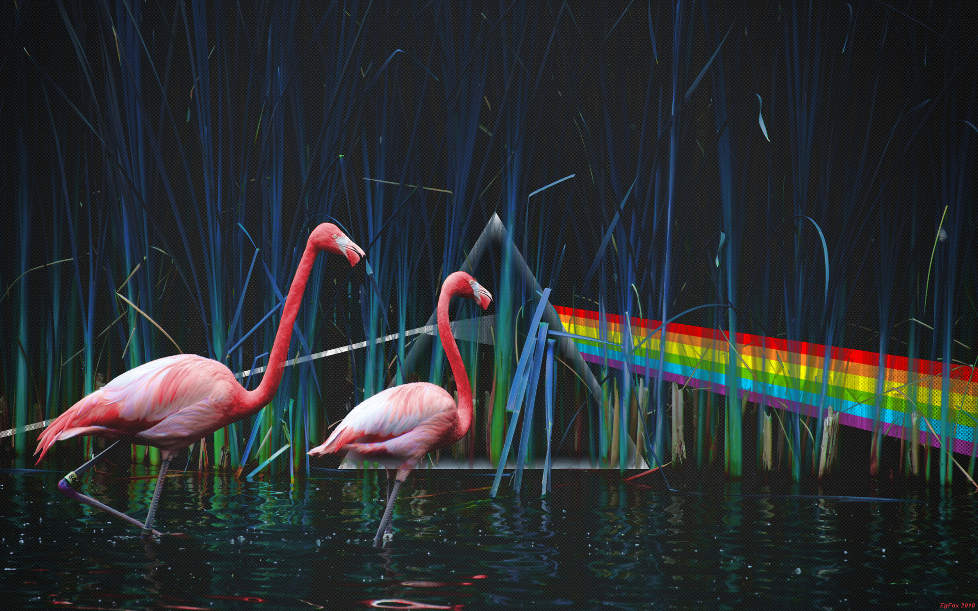 Ultrawide Wallpapers Flamingo 