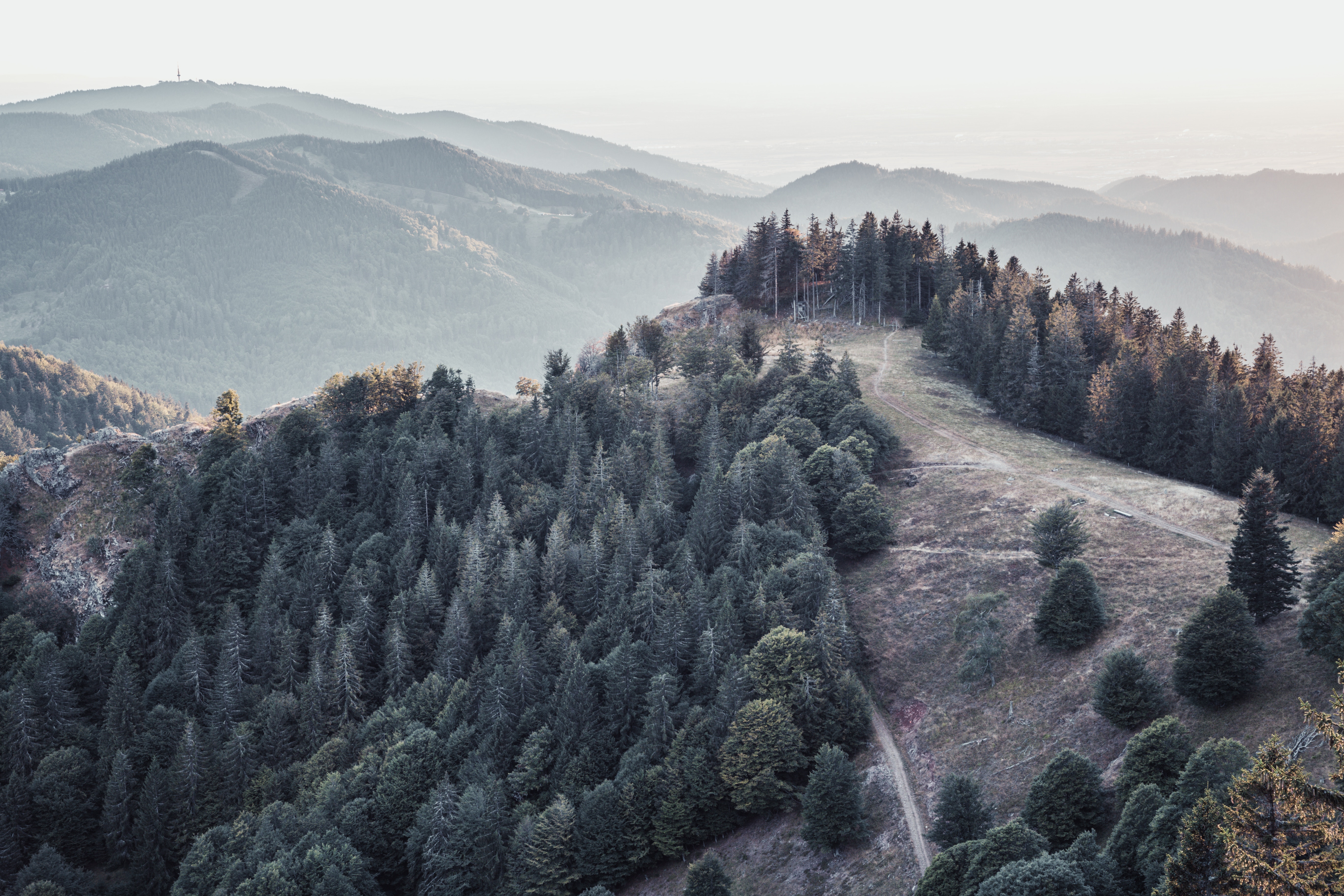 Handy-Wallpaper Nebel, Wald, Bäume, Mountains, Natur, Landschaft kostenlos herunterladen.