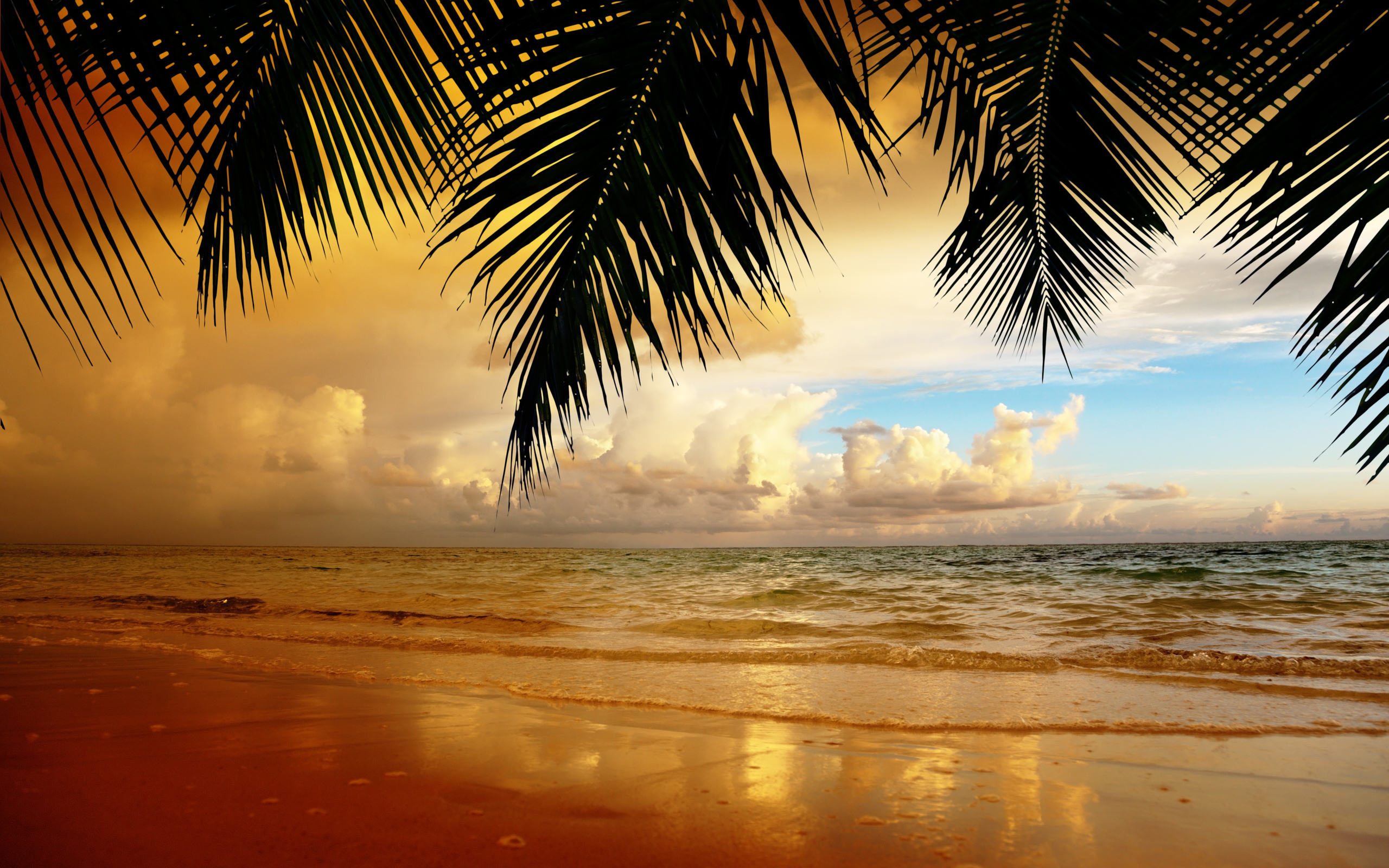 Скачать картинку Закат, Пейзаж, Пляж, Море, Пальмы в телефон бесплатно.