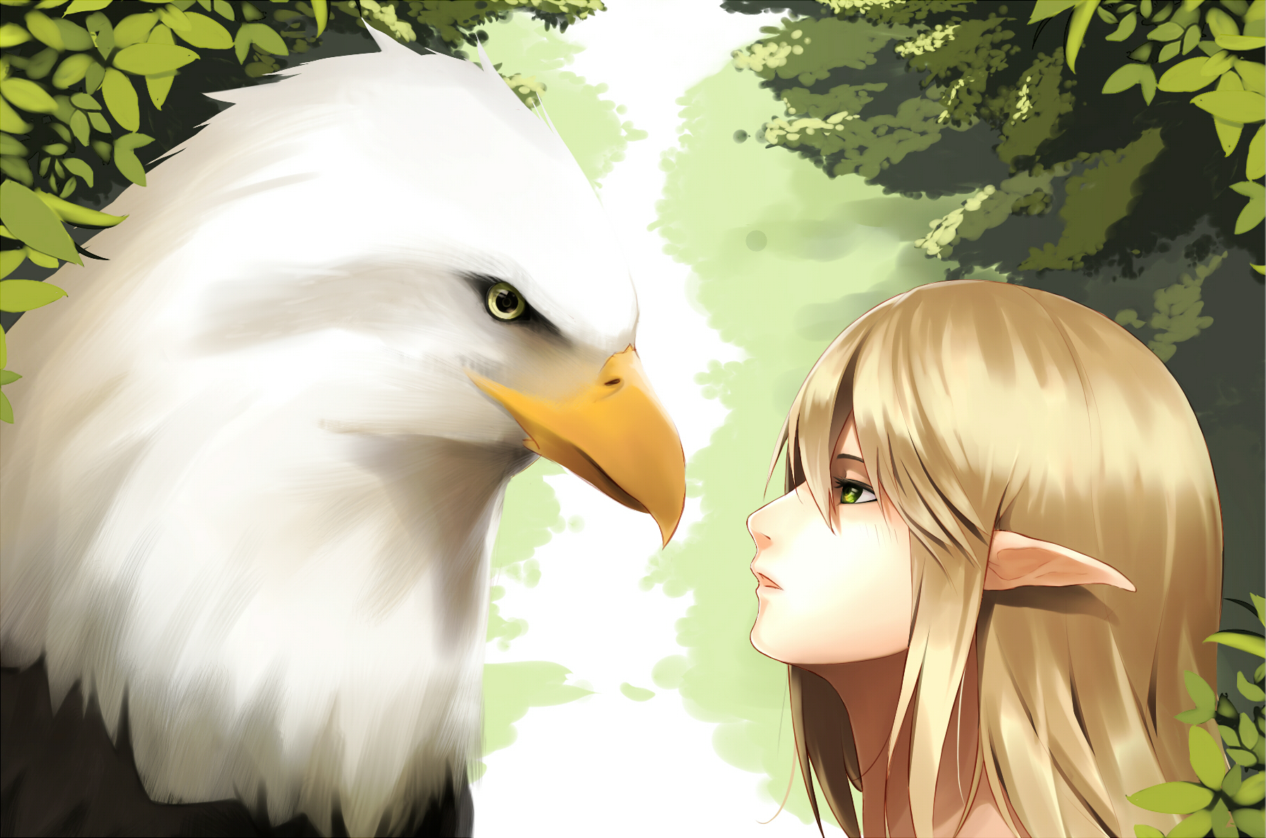 Laden Sie das Adler, Elf, Original, Animes-Bild kostenlos auf Ihren PC-Desktop herunter
