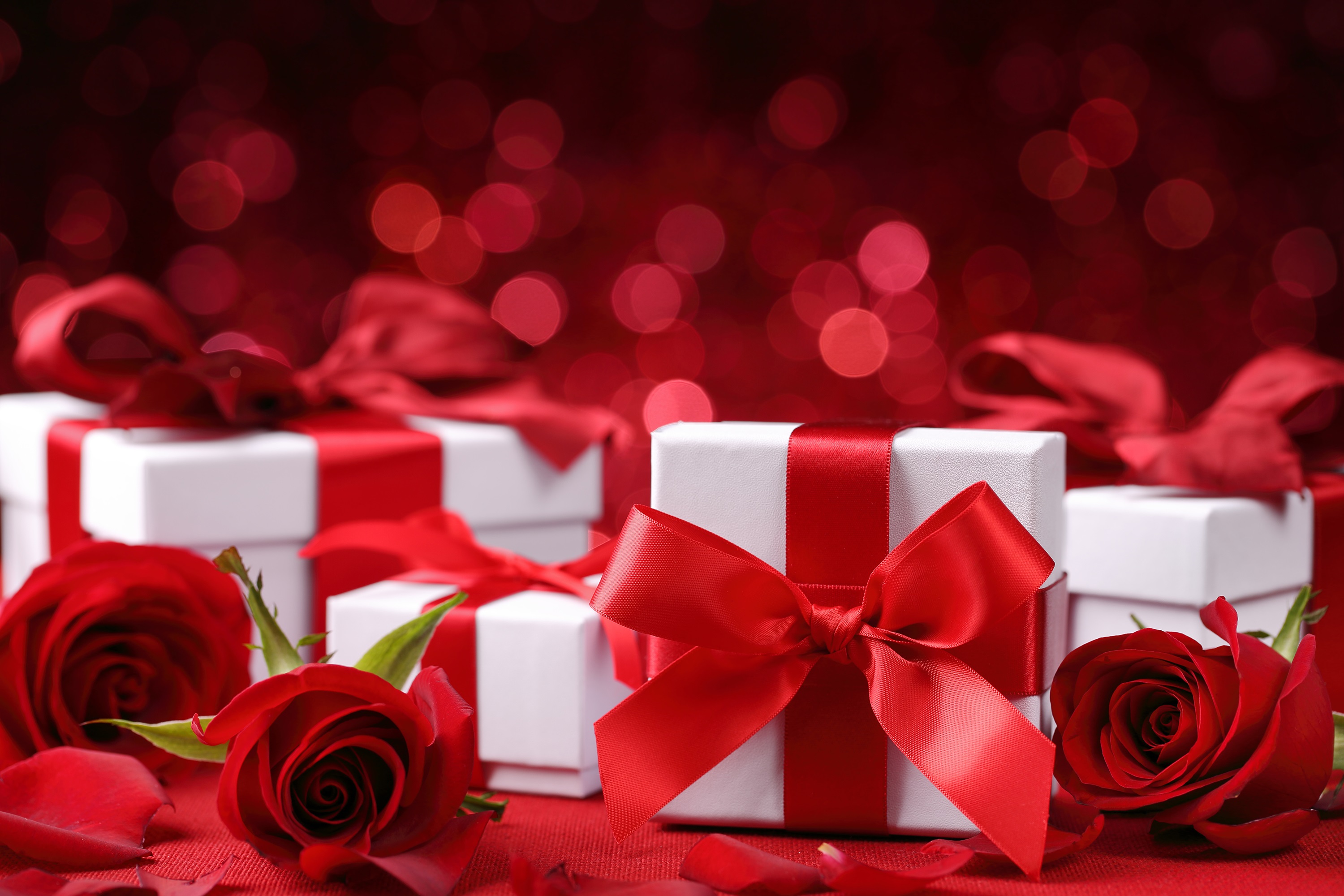 Download mobile wallpaper Flower, Rose, Gift, Bokeh, Red Flower, Misc for free.