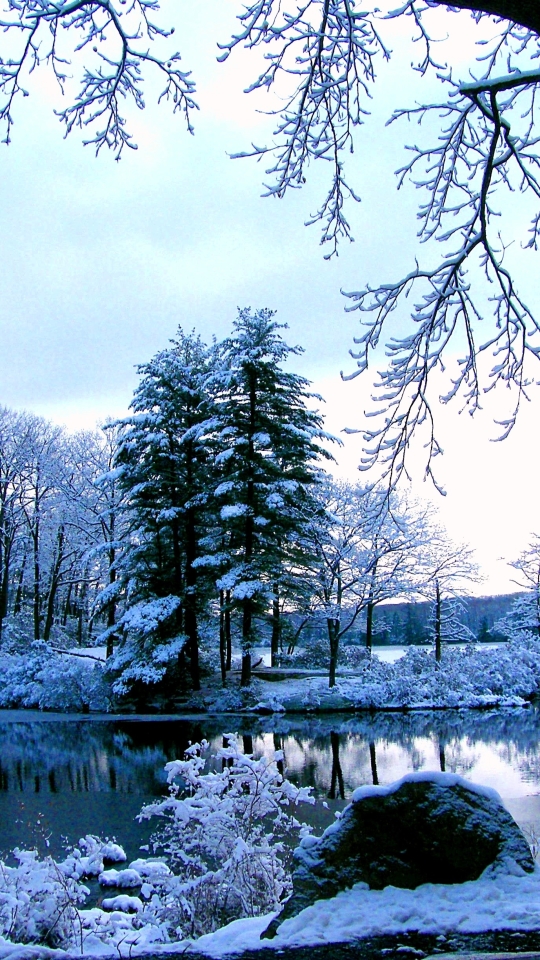 Download mobile wallpaper Winter, Snow, Lake, Park, Tree, Earth for free.