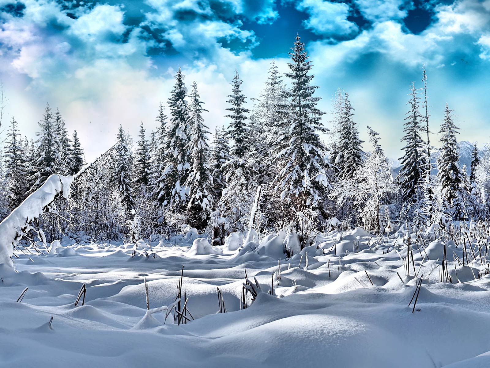 Free download wallpaper Winter, Earth on your PC desktop