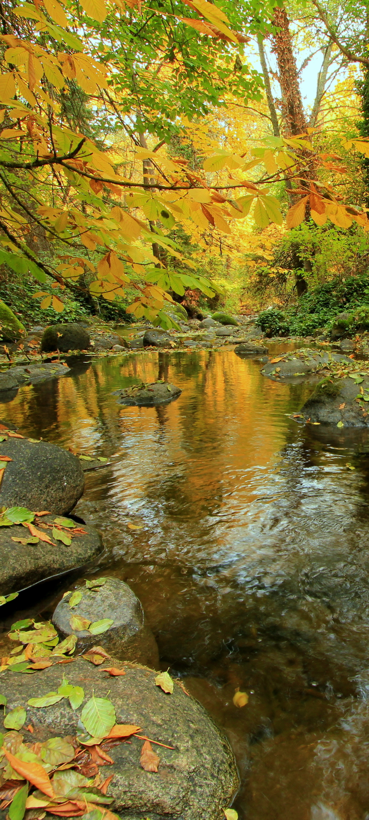 Download mobile wallpaper Nature, Fall, Earth, Stream for free.