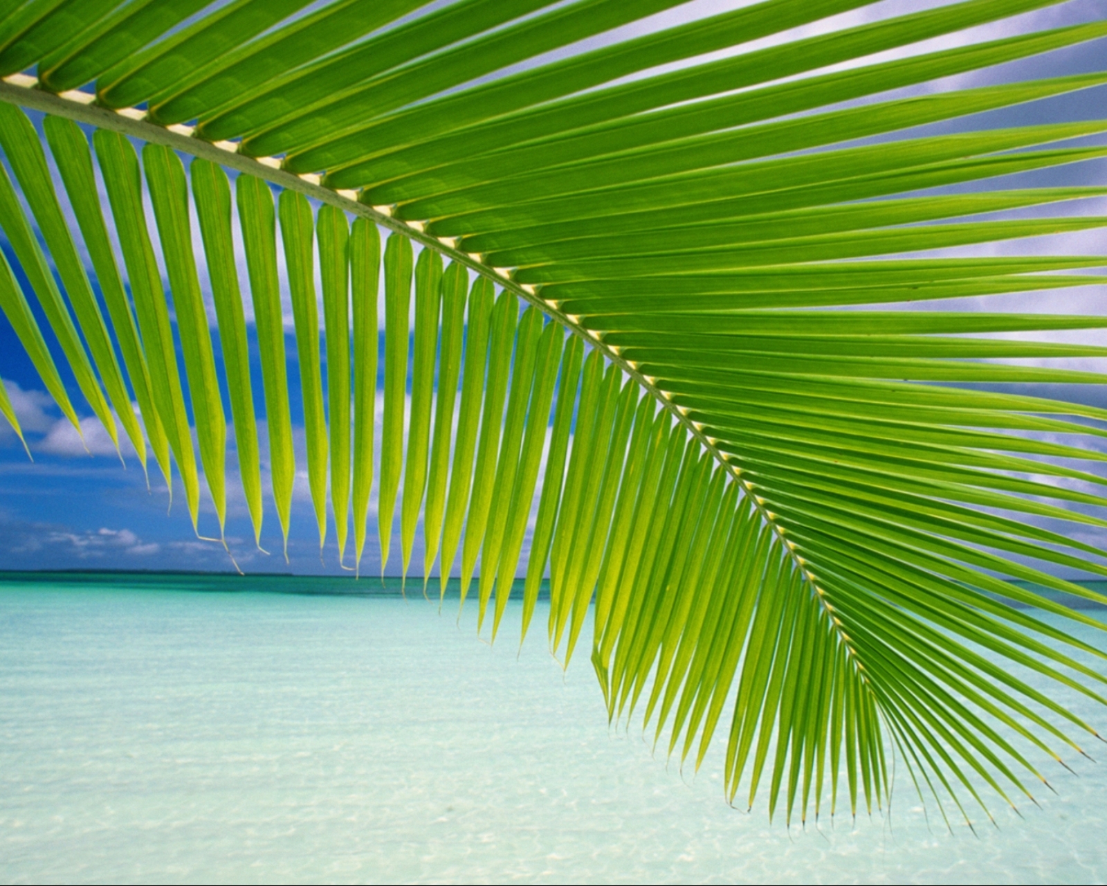 Скачать картинку Пляж, Океан, Тропики, Земля/природа в телефон бесплатно.