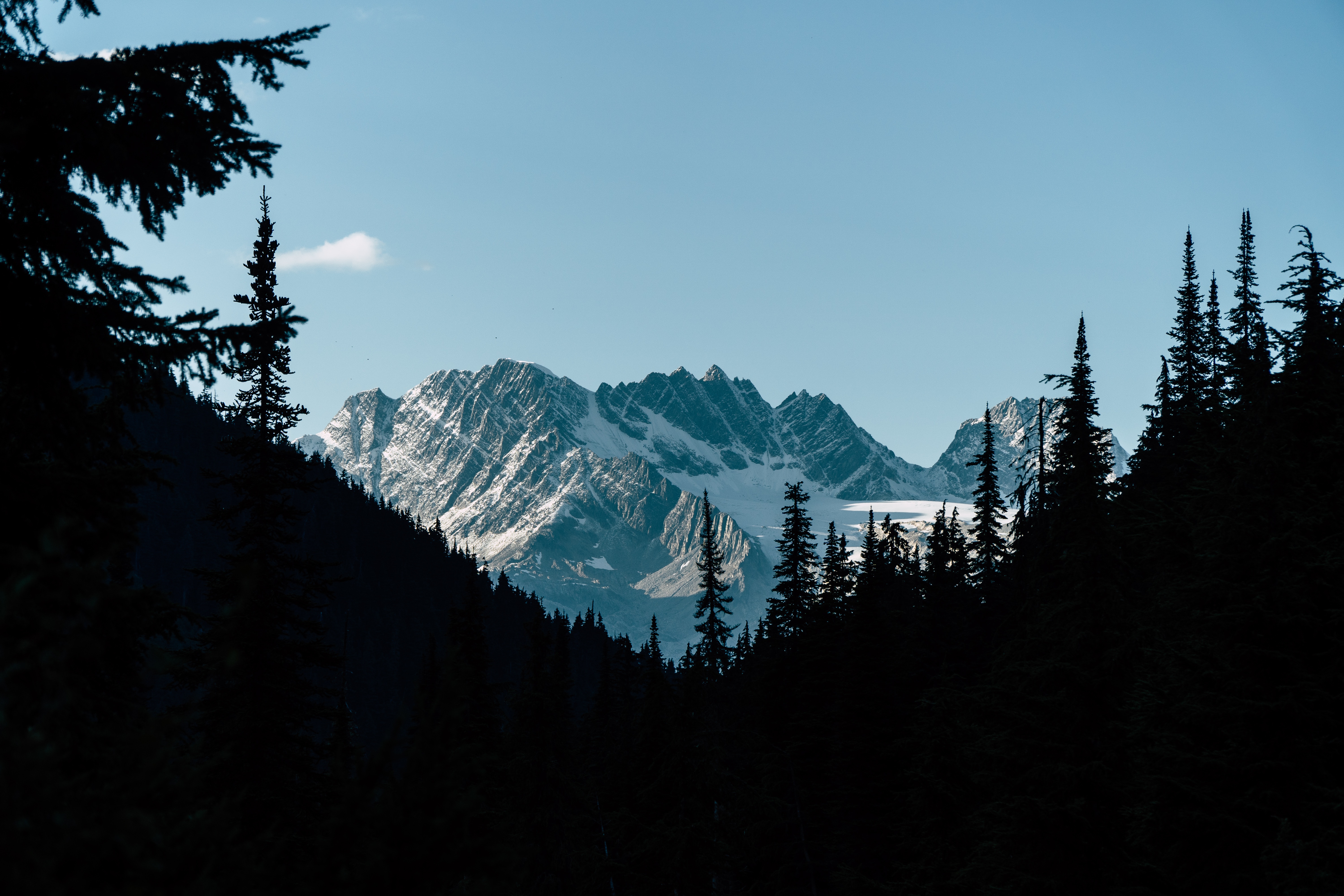 120220 descargar imagen naturaleza, montañas, oscuro, bosque, sombra, contraste: fondos de pantalla y protectores de pantalla gratis
