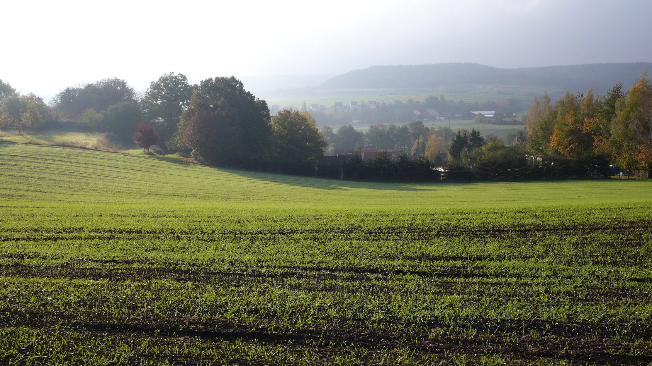 Handy-Wallpaper Feld, Erde/natur kostenlos herunterladen.