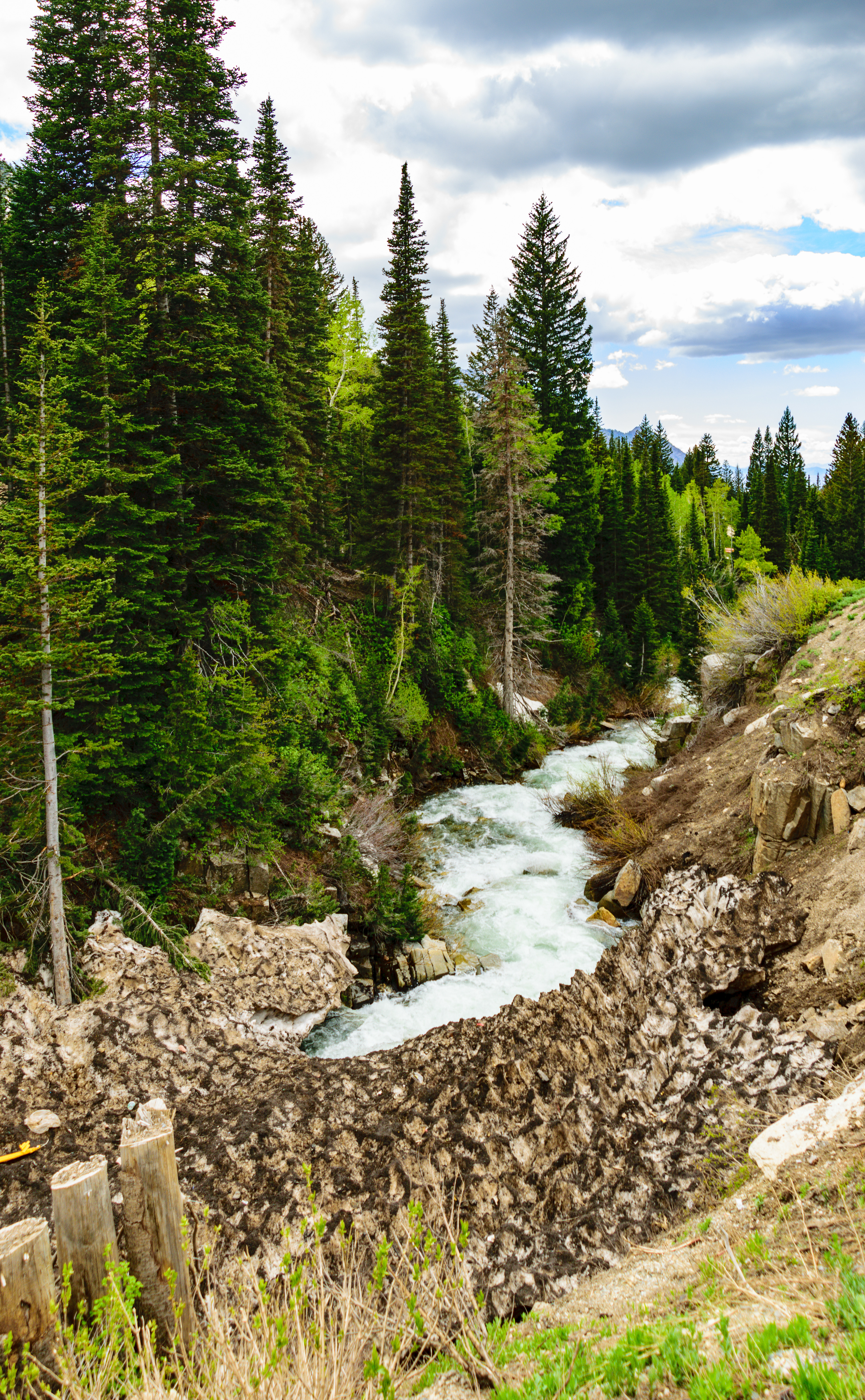 Download mobile wallpaper Spruce, Fir, Stream, Stones, Rivers, Forest, Flow, Nature for free.