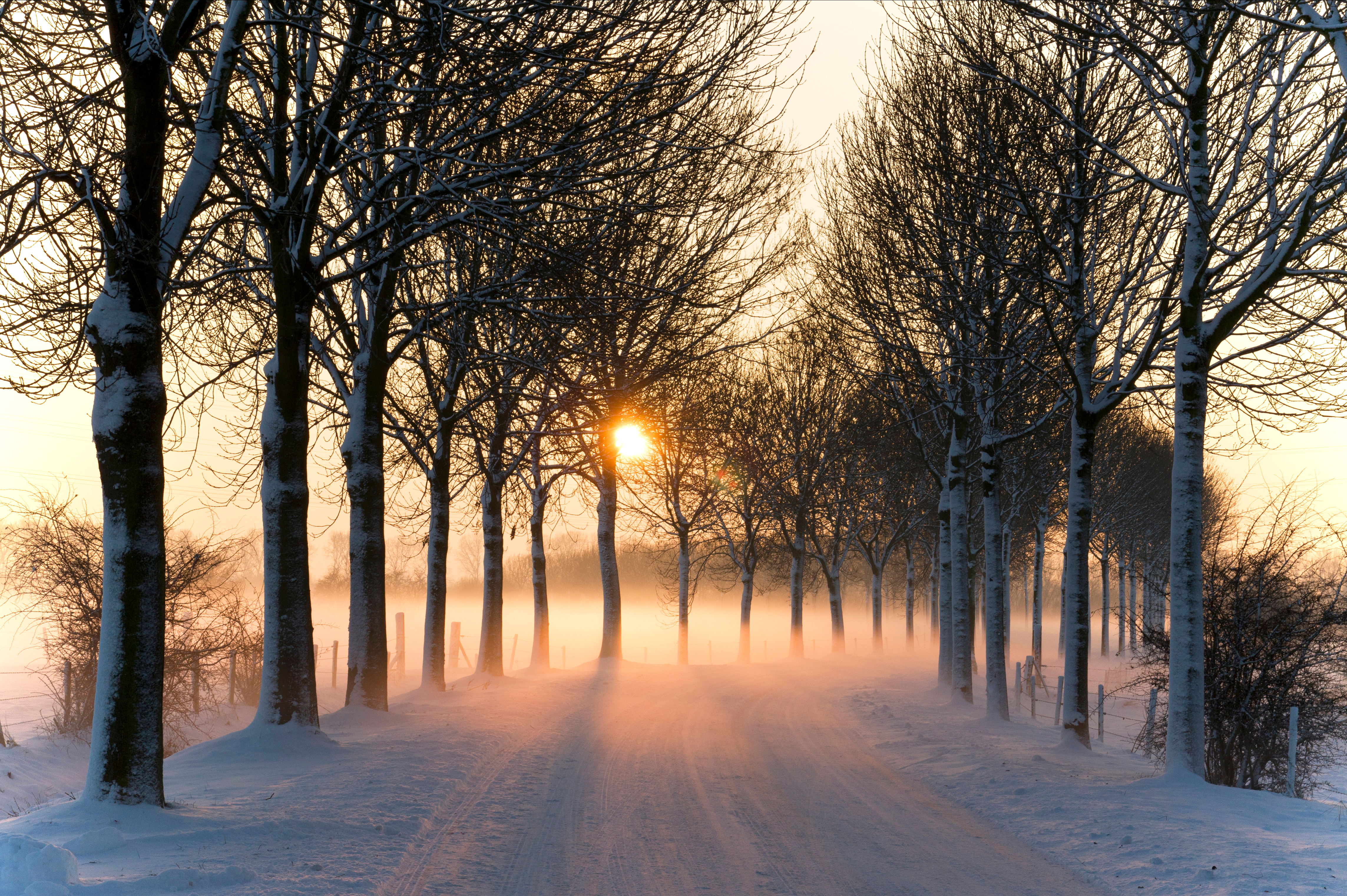 Handy-Wallpaper Winter, Schnee, Straße, Baum, Nebel, Sonnenuntergang, Sonne, Menschengemacht kostenlos herunterladen.