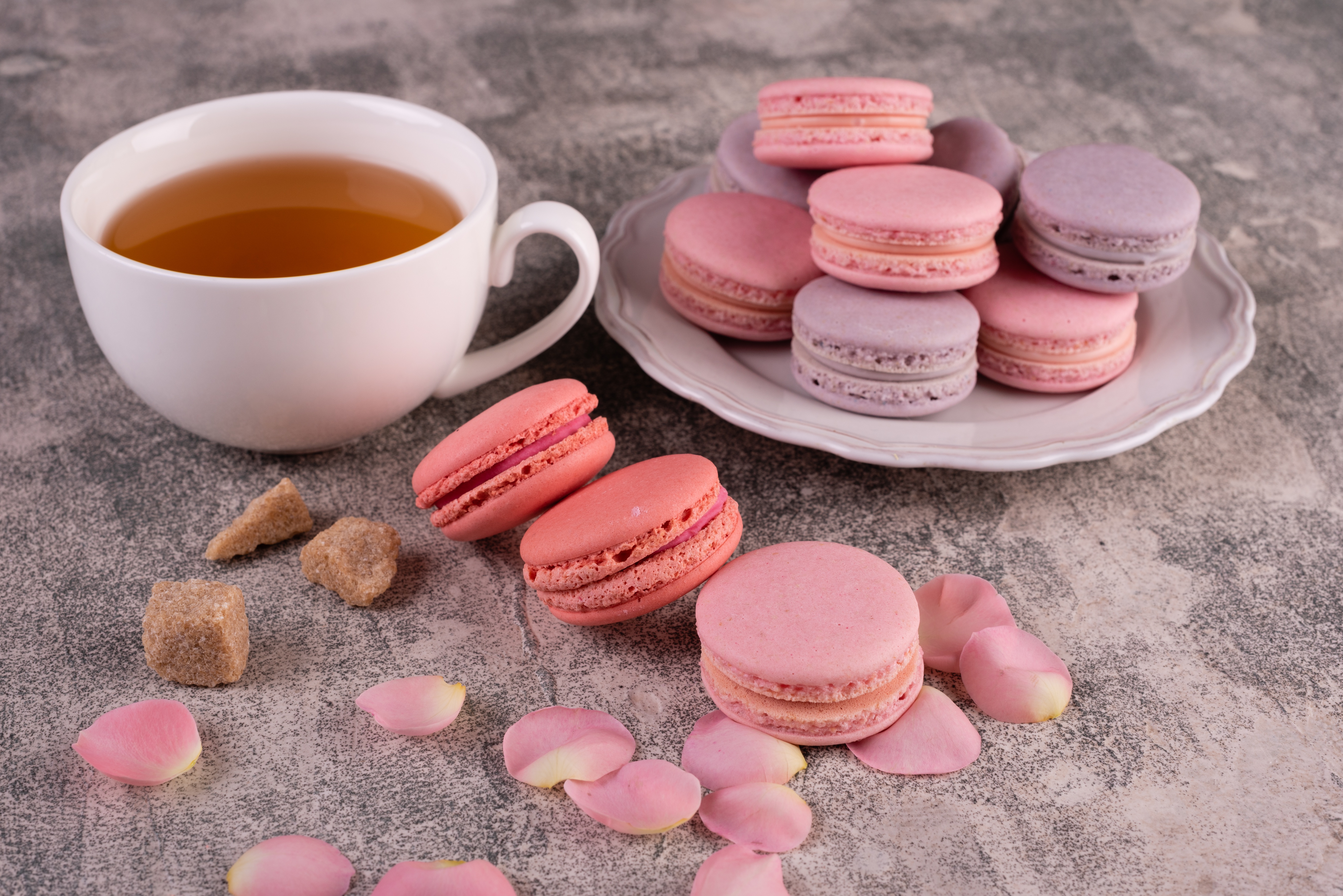 Free download wallpaper Food, Still Life, Cup, Tea, Sweets, Macaron on your PC desktop