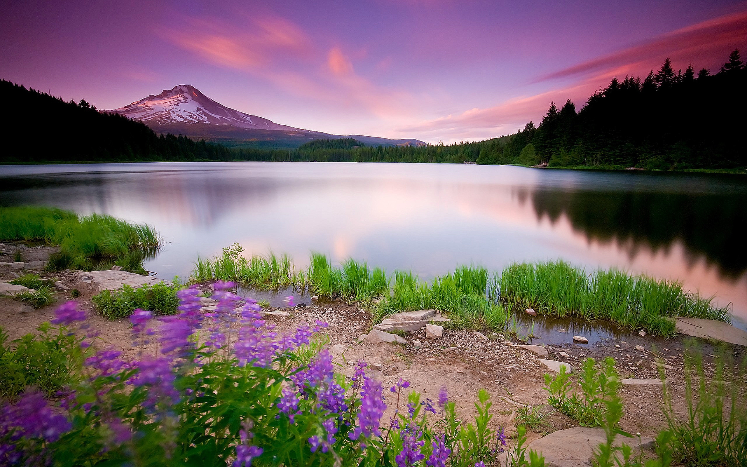 nature, lakes, landscape Phone Background