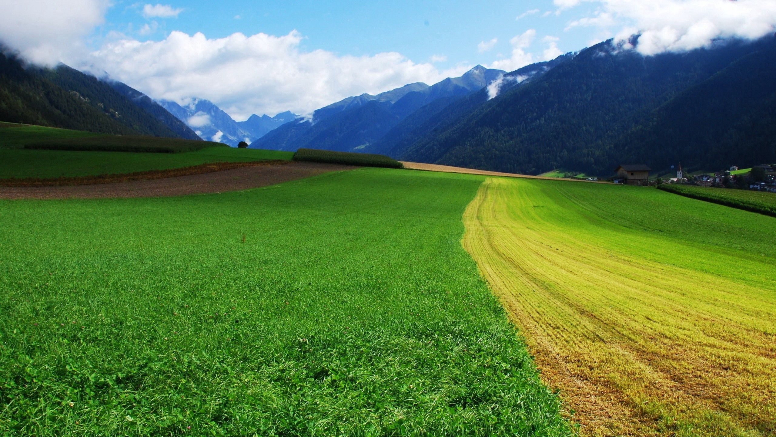 Free download wallpaper Nature, Grass, Summer, Field on your PC desktop