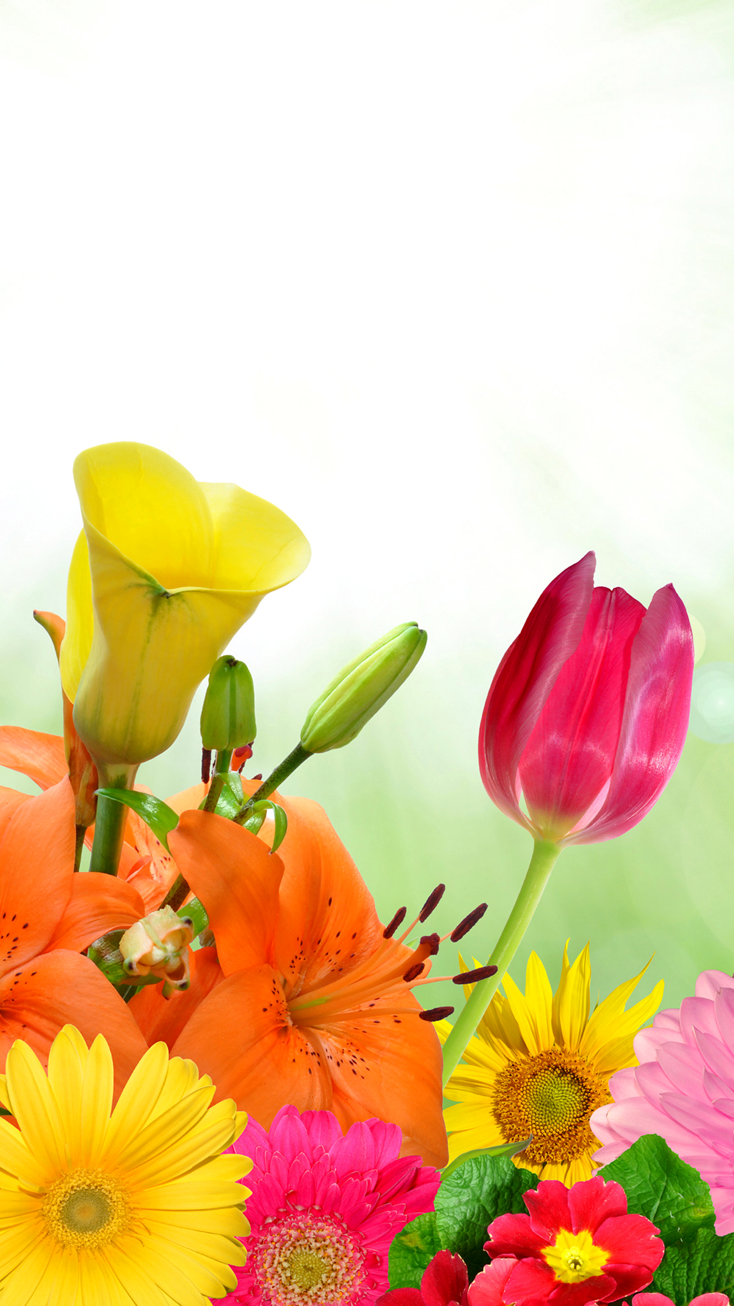 Handy-Wallpaper Blumen, Blume, Farben, Bunt, Gelbe Blume, Künstlerisch, Lila Blume, Rote Blume, Pinke Blume, Orangene Blume kostenlos herunterladen.