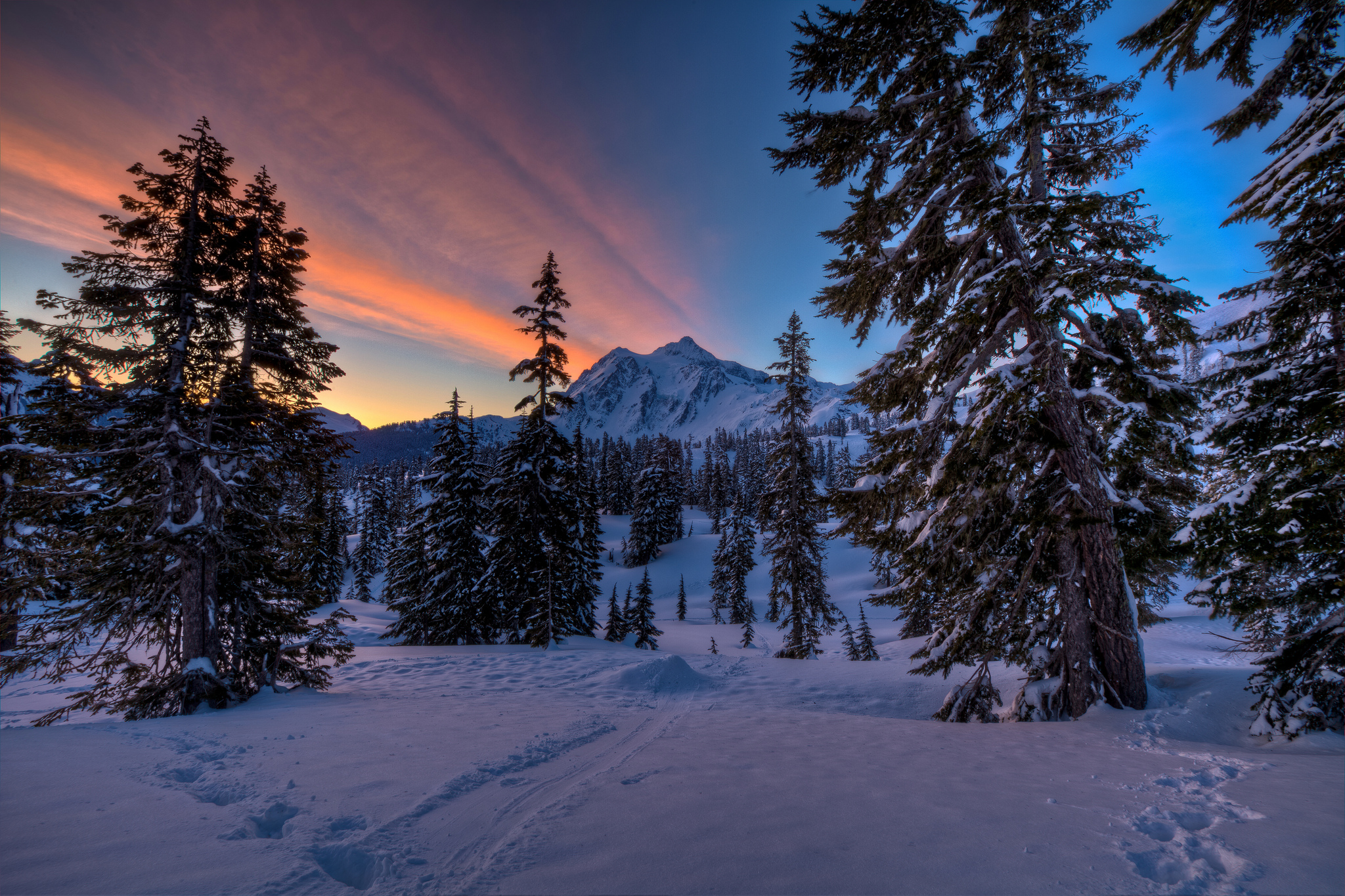 PCデスクトップに冬, 木, 日没, 雪, 山, 森, 地球画像を無料でダウンロード