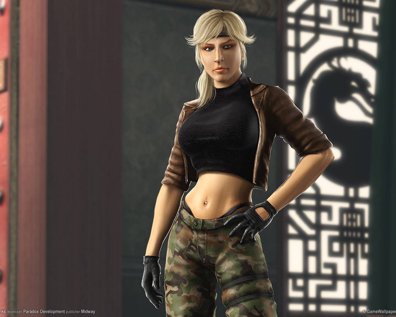 Baixar papel de parede para celular de Videogame, Combate Mortal, Lâmina Sonya gratuito.