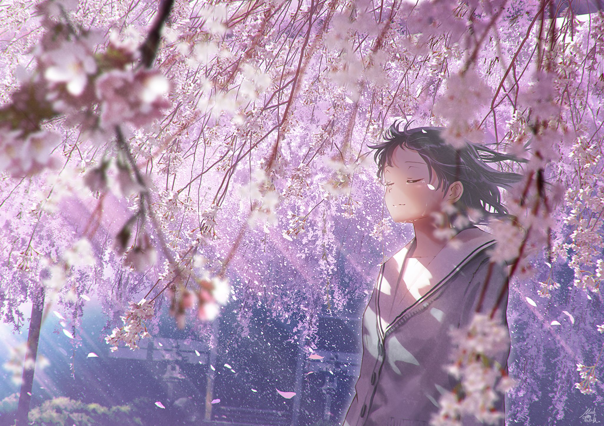 Descarga gratuita de fondo de pantalla para móvil de Sakura, Original, Animado.