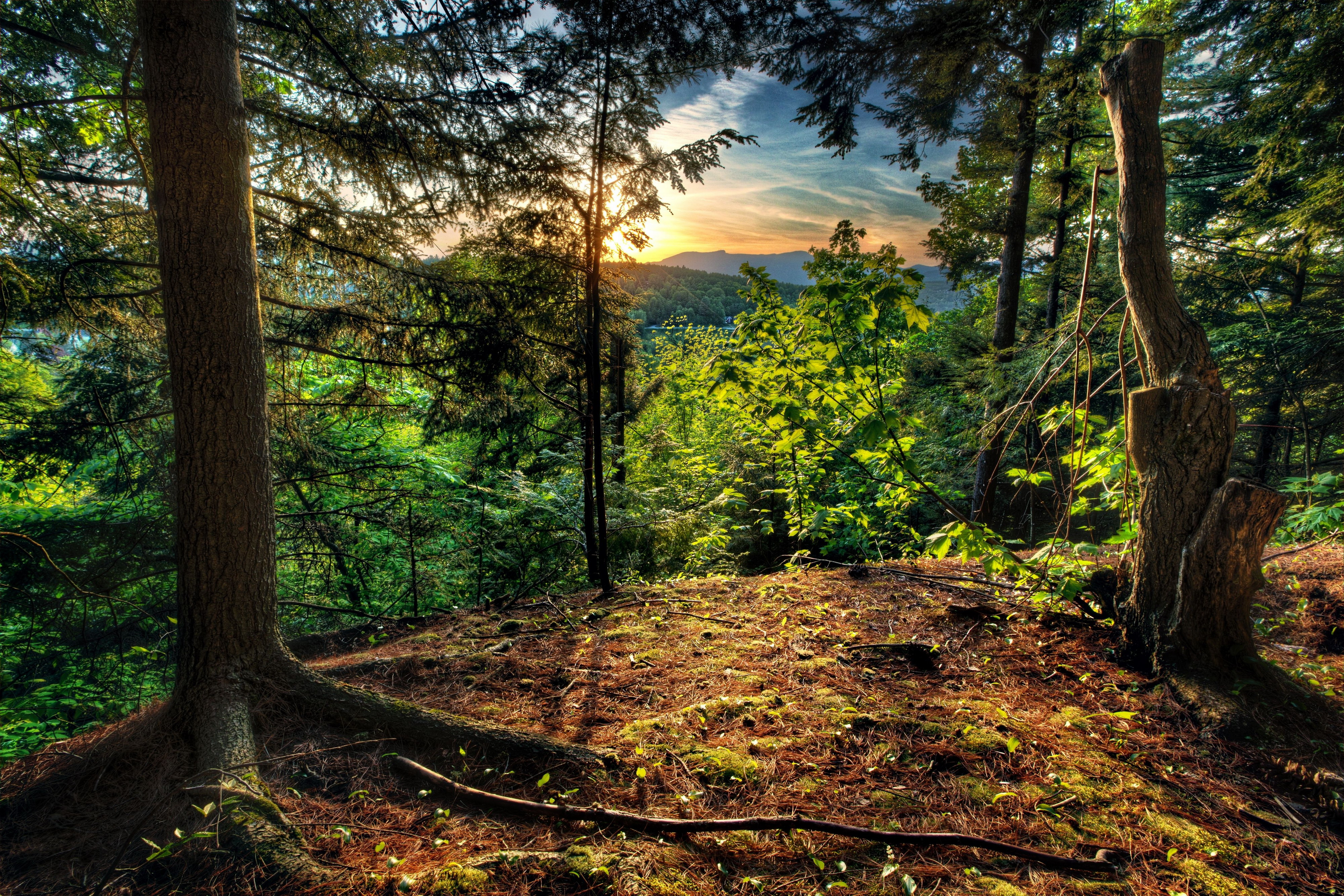 Laden Sie das Landschaft, Erde/natur-Bild kostenlos auf Ihren PC-Desktop herunter