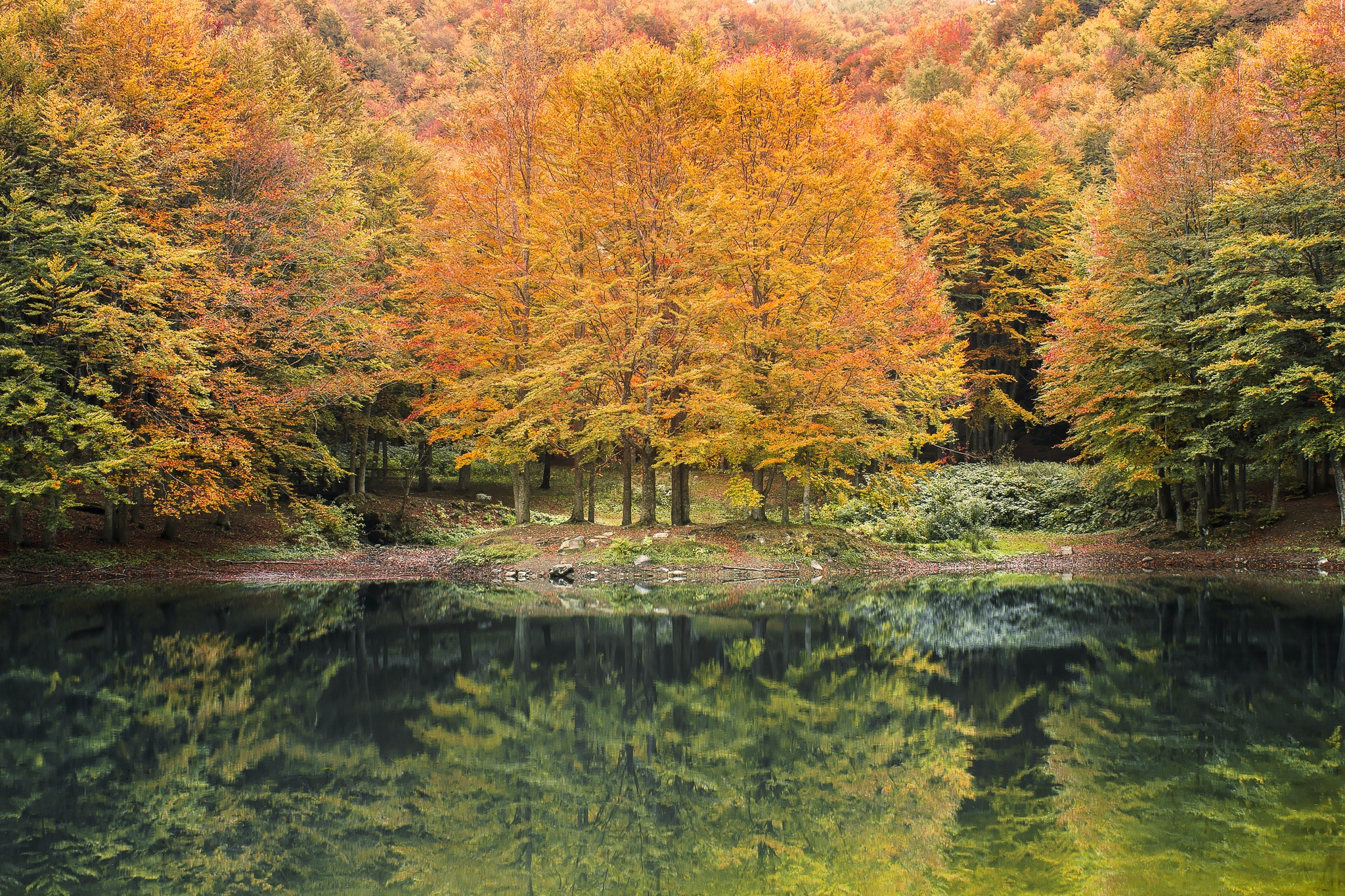 PCデスクトップに自然, 木, 秋, 湖, 反射, 地球画像を無料でダウンロード