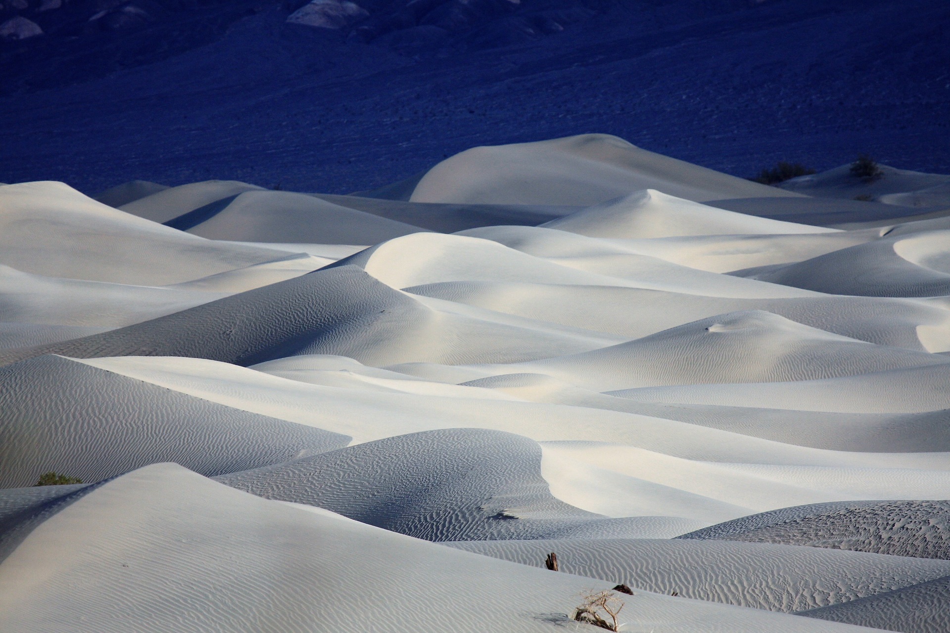 Descarga gratis la imagen Naturaleza, Desierto, Duna, Tierra/naturaleza en el escritorio de tu PC