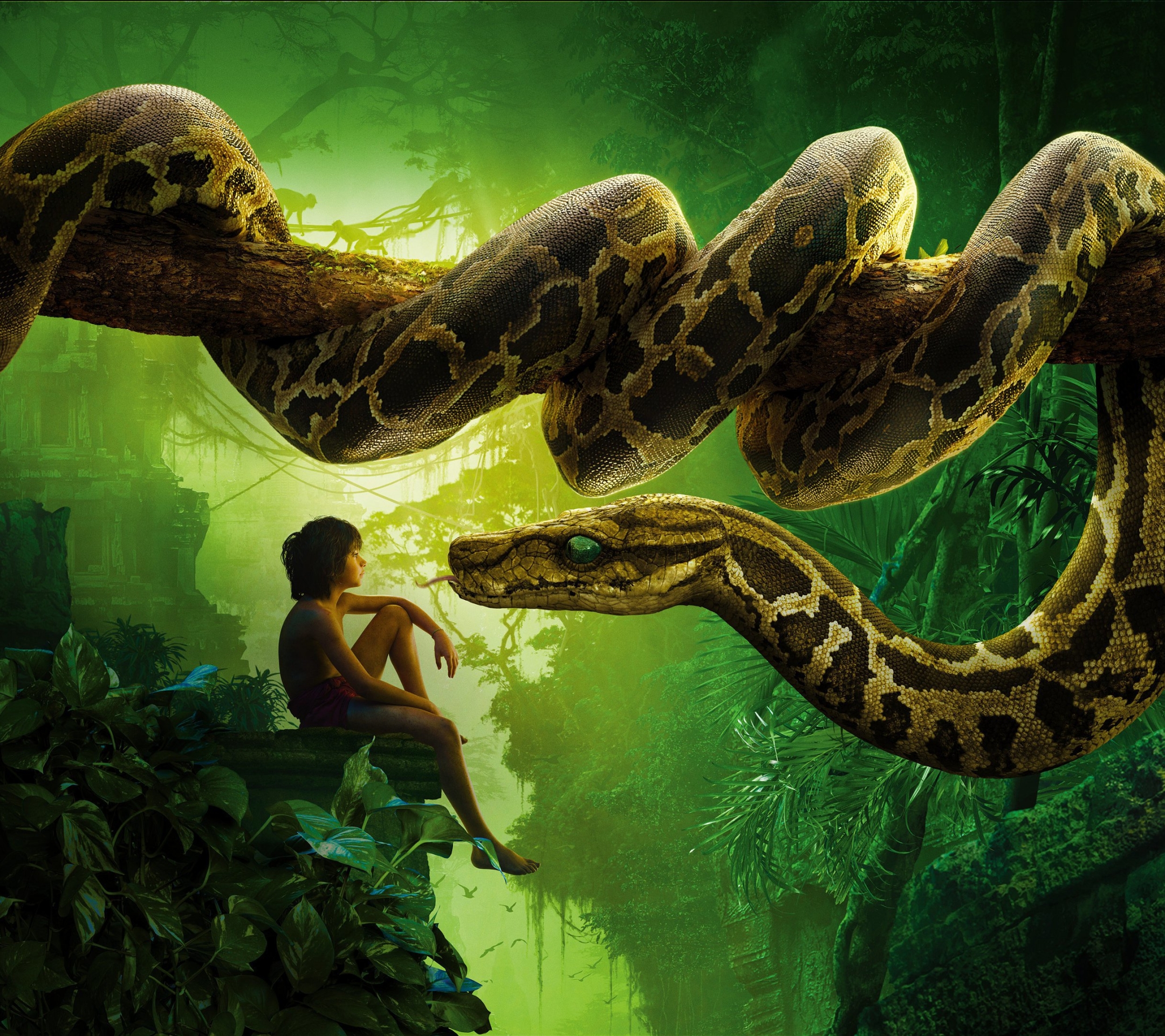 movie, the jungle book (2016), the jungle book HD wallpaper