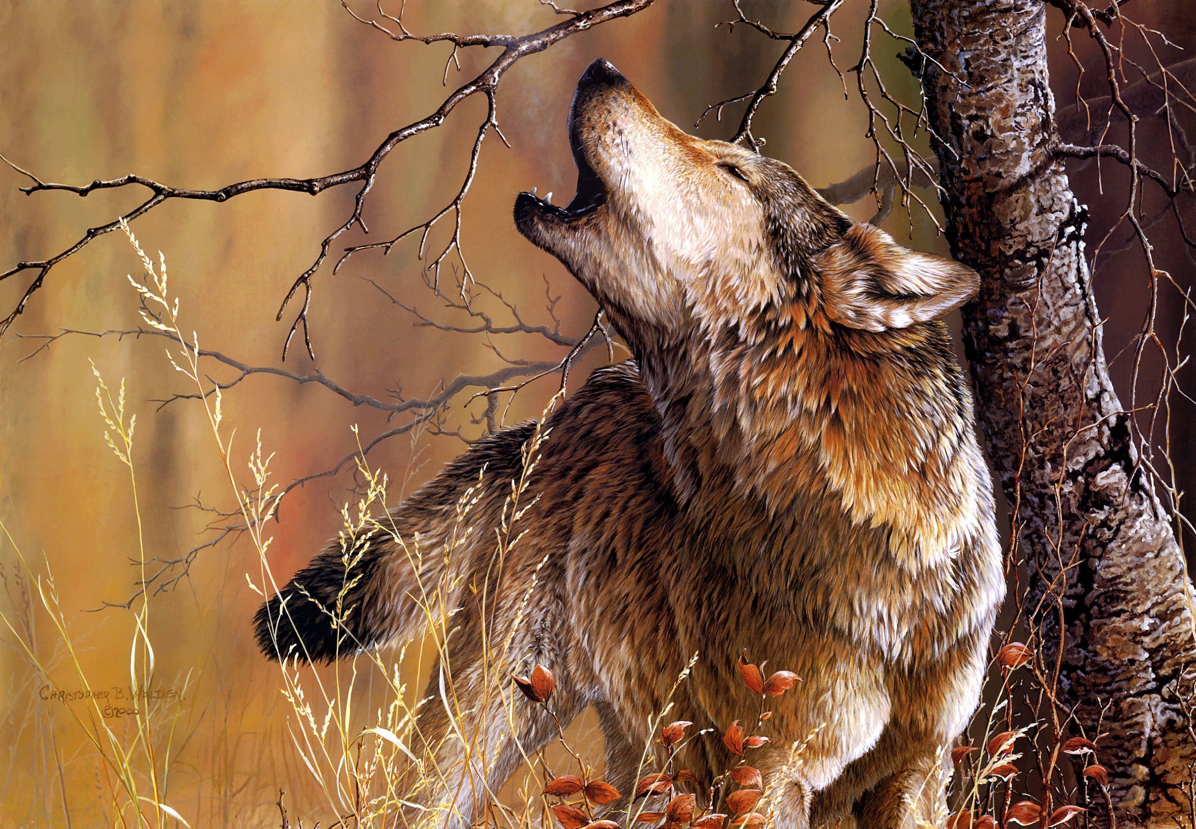 267527壁紙のダウンロード動物, 狼, 森, ハウリング, ペインティング, 木, オオカミ-スクリーンセーバーと写真を無料で