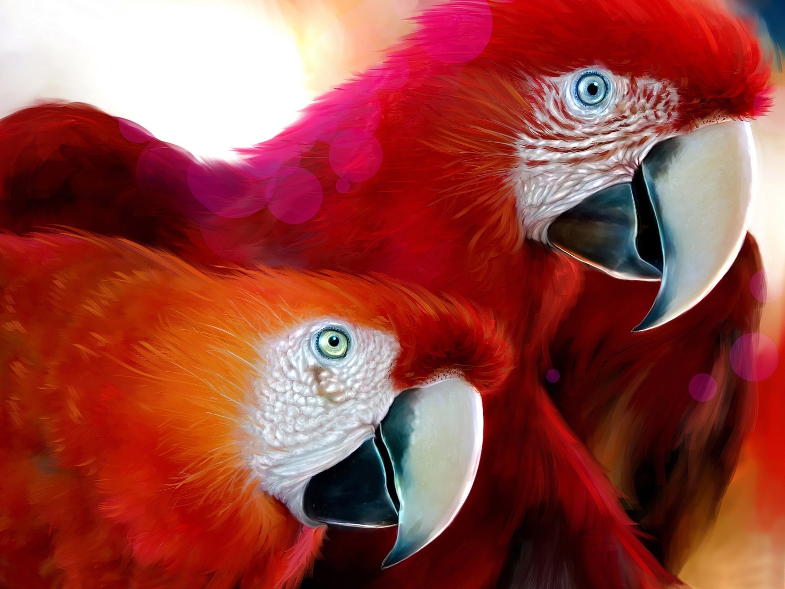 9735 descargar fondo de pantalla animales, birds, arte, loros, imágenes, rojo: protectores de pantalla e imágenes gratis